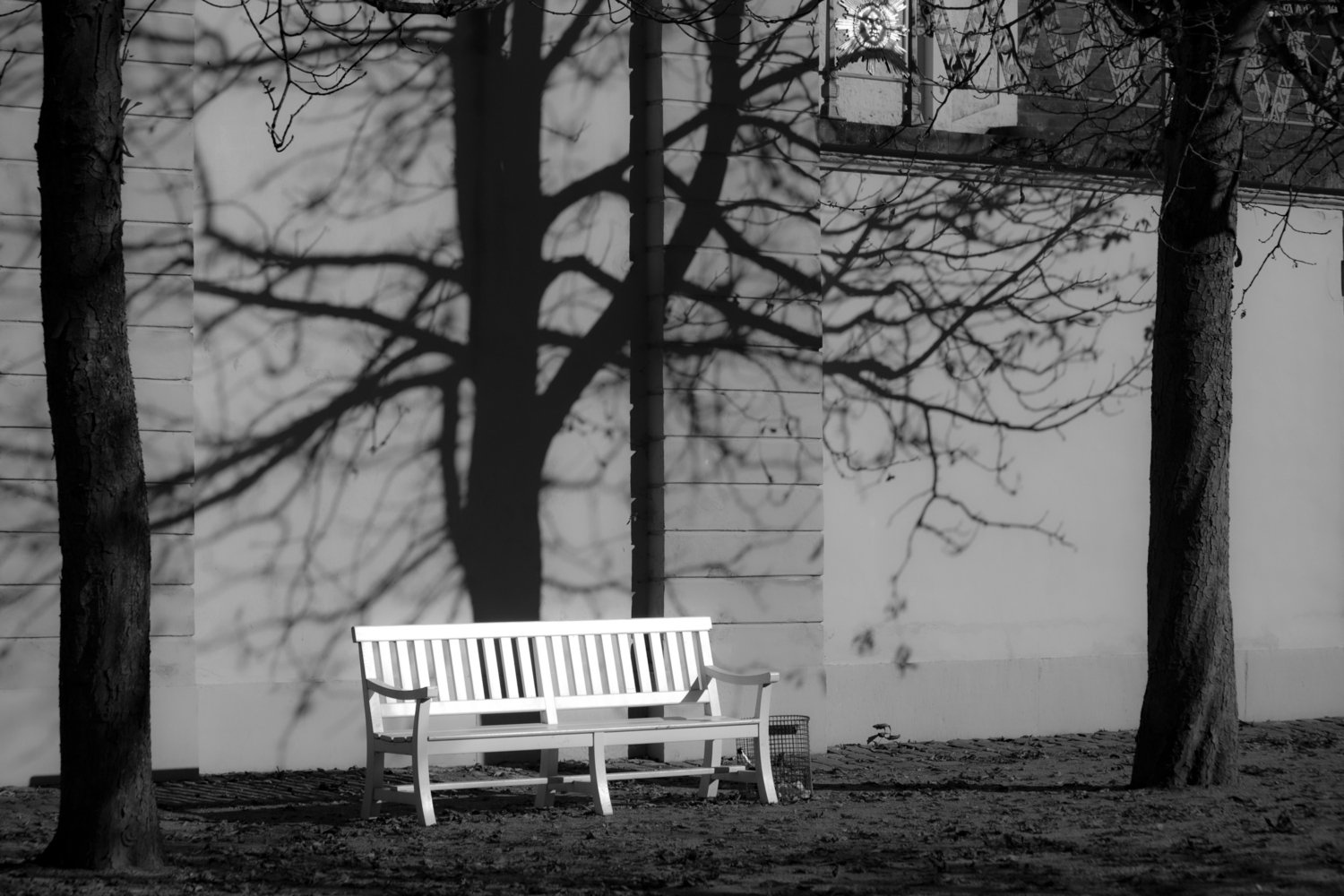 Под сенью тени