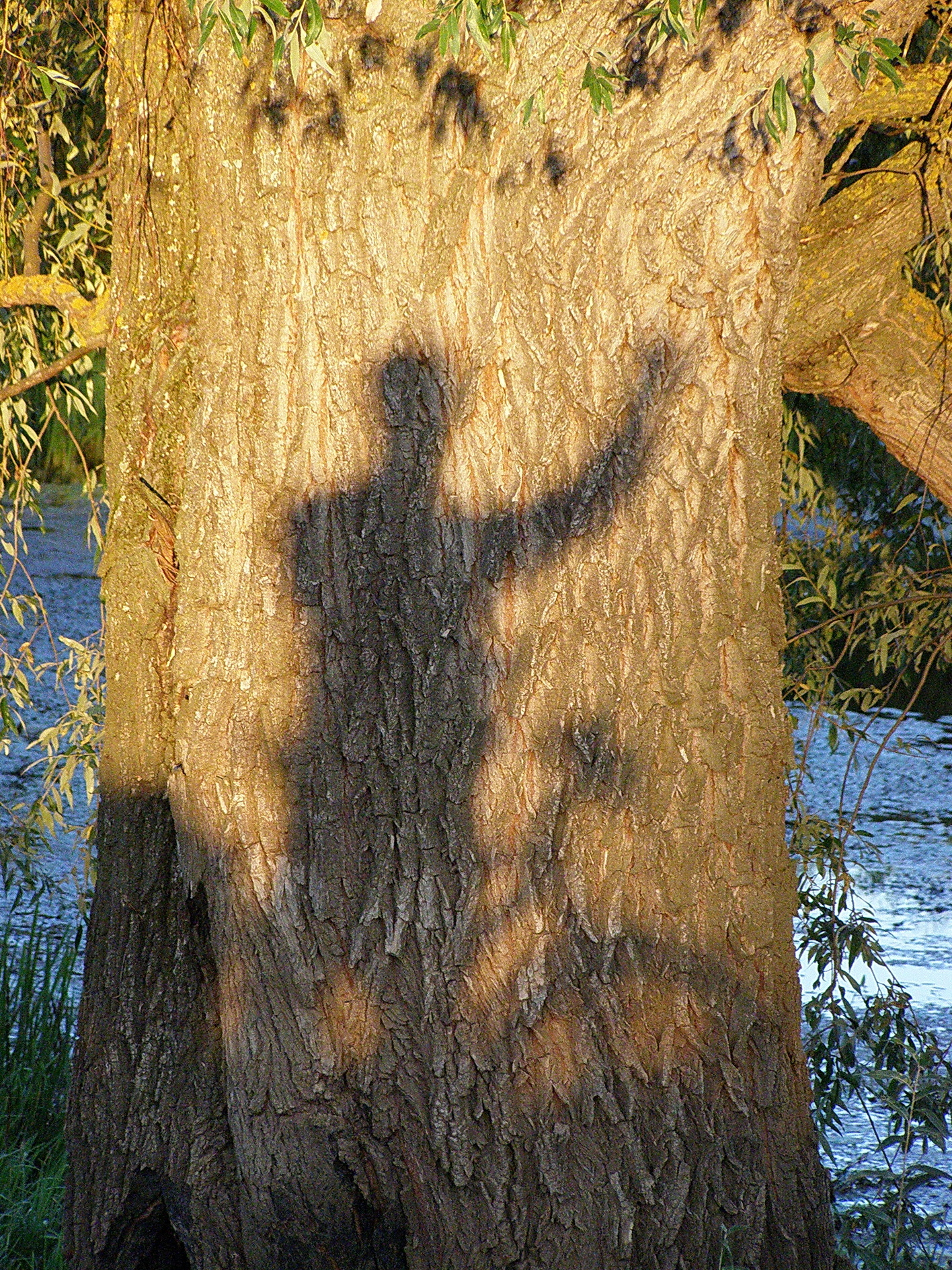 Здравствуй, Великая Ива!
