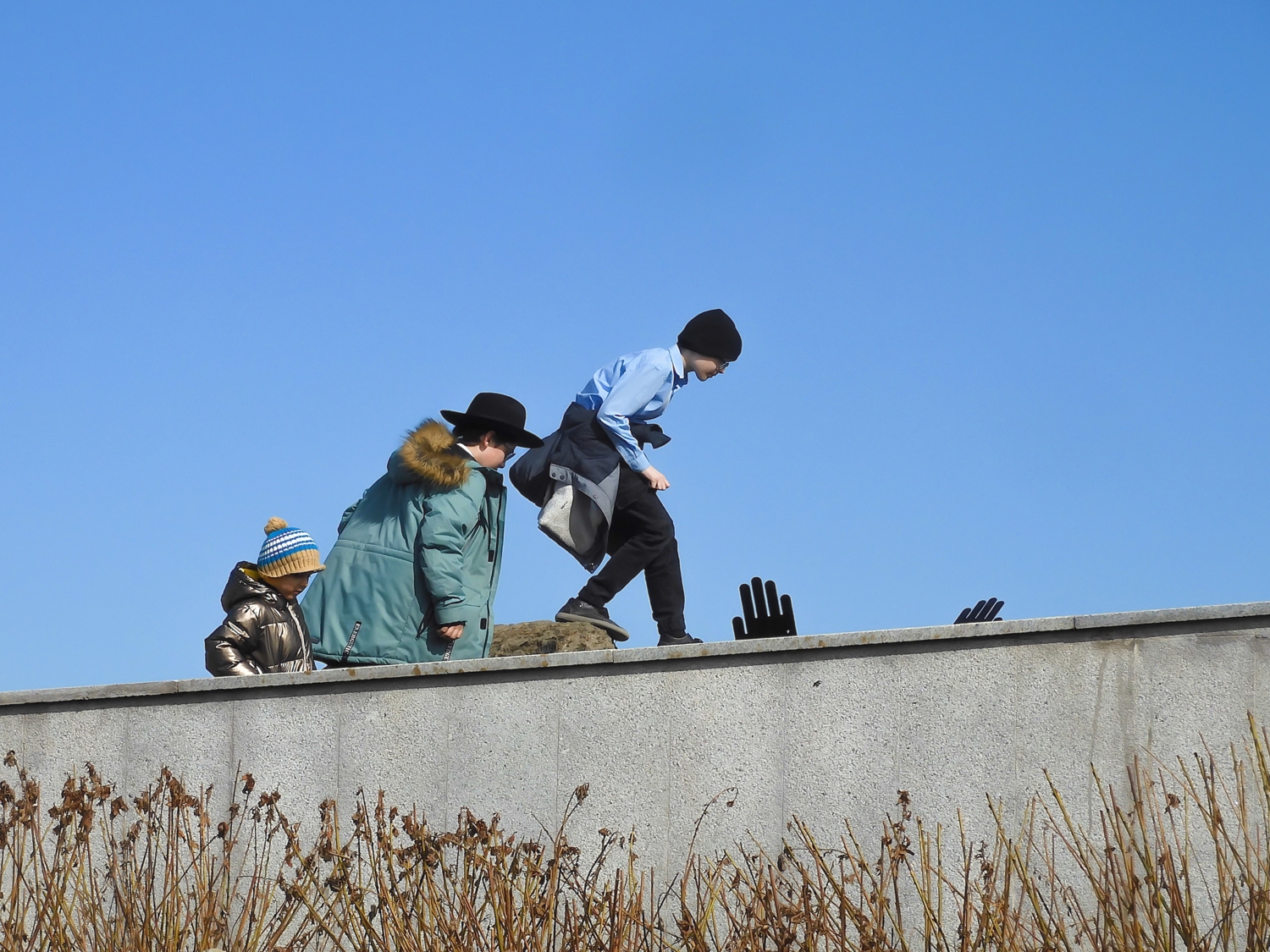 Миф о "Черной руке"