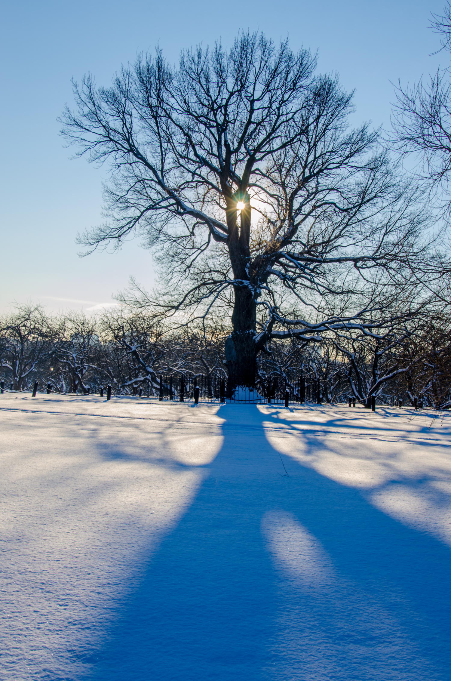 Зимний пешеход