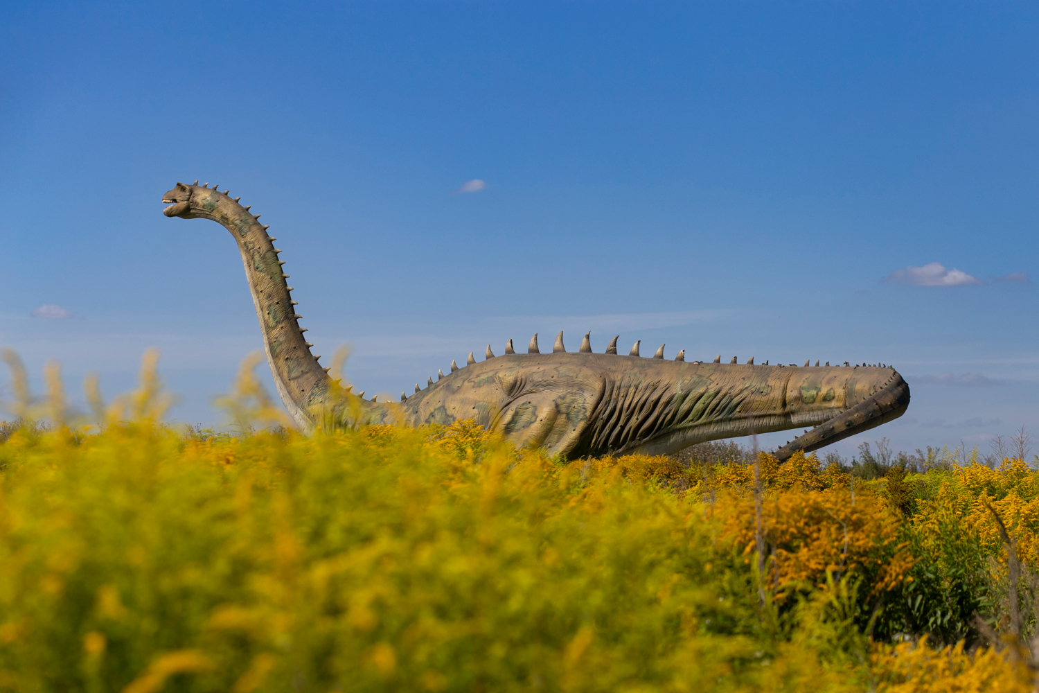 Очень далёкий предок ящерицы