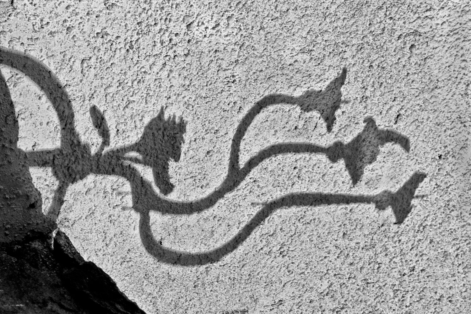 О классификации парафиновых чудищ