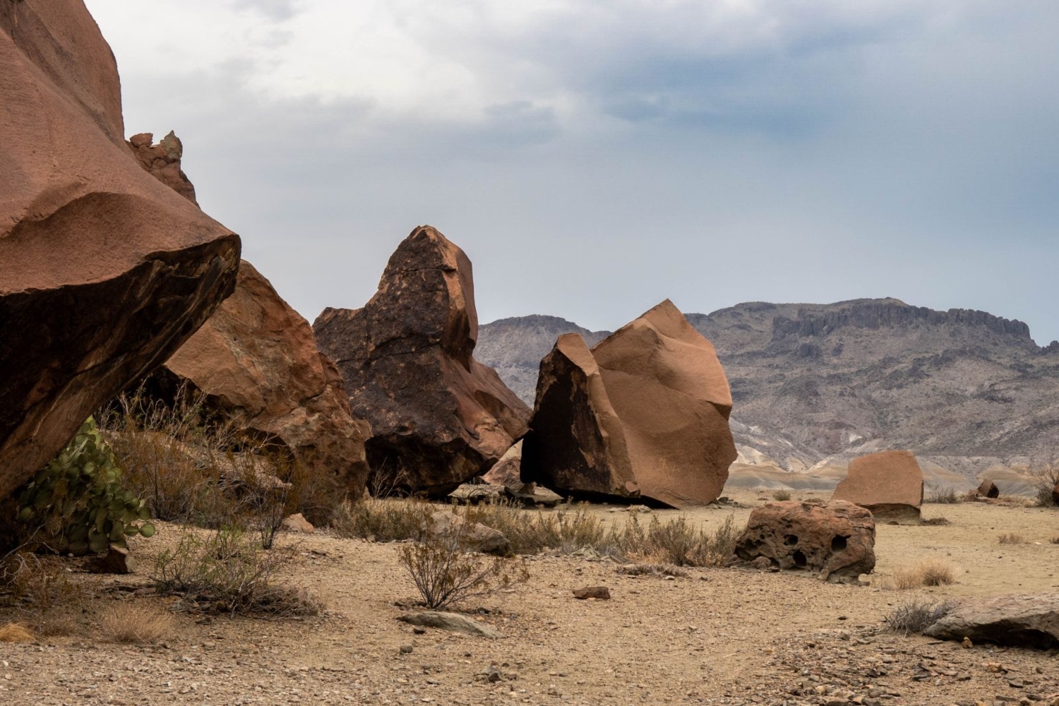 Голова воина