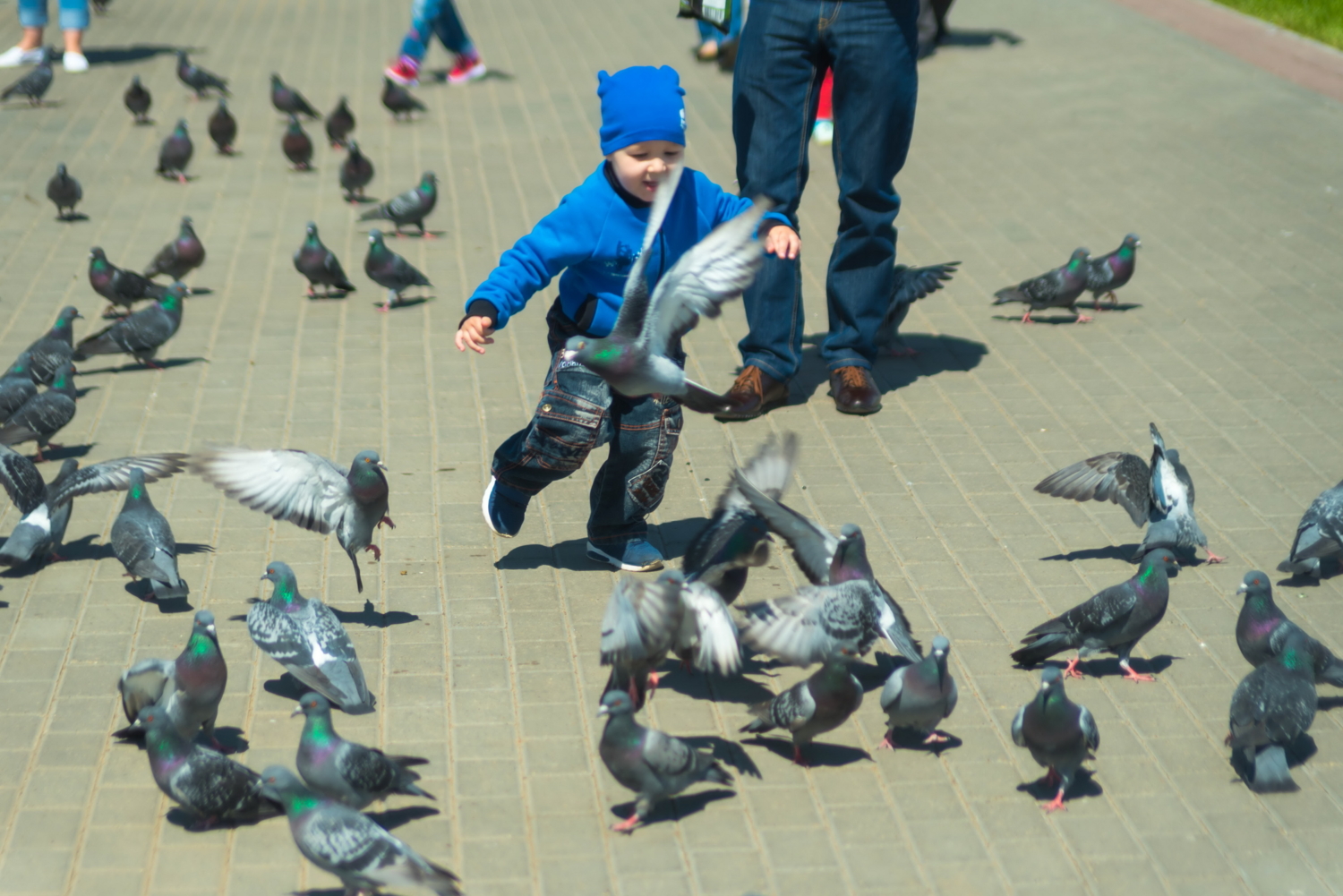 Детская радость