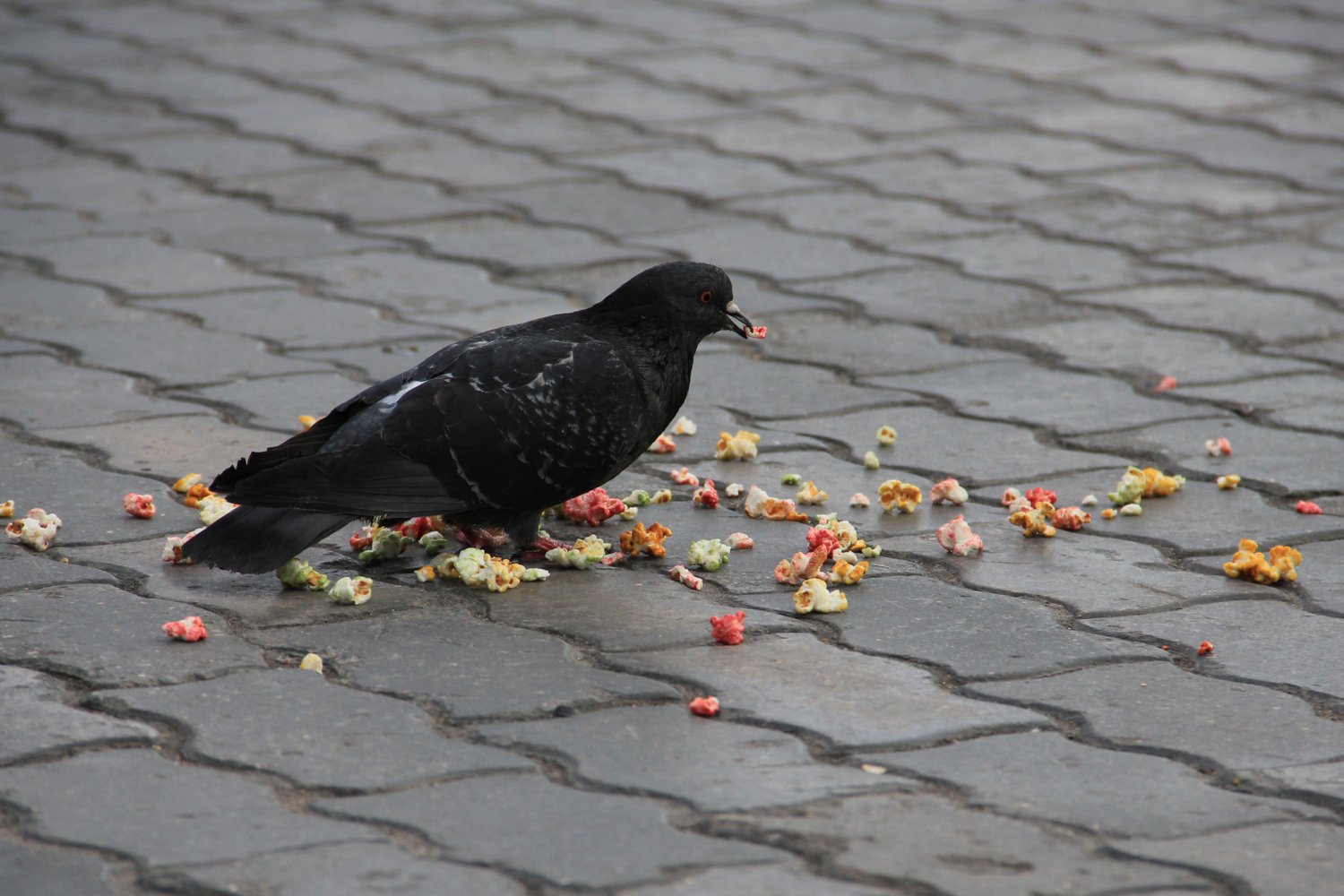Любитель попкорна