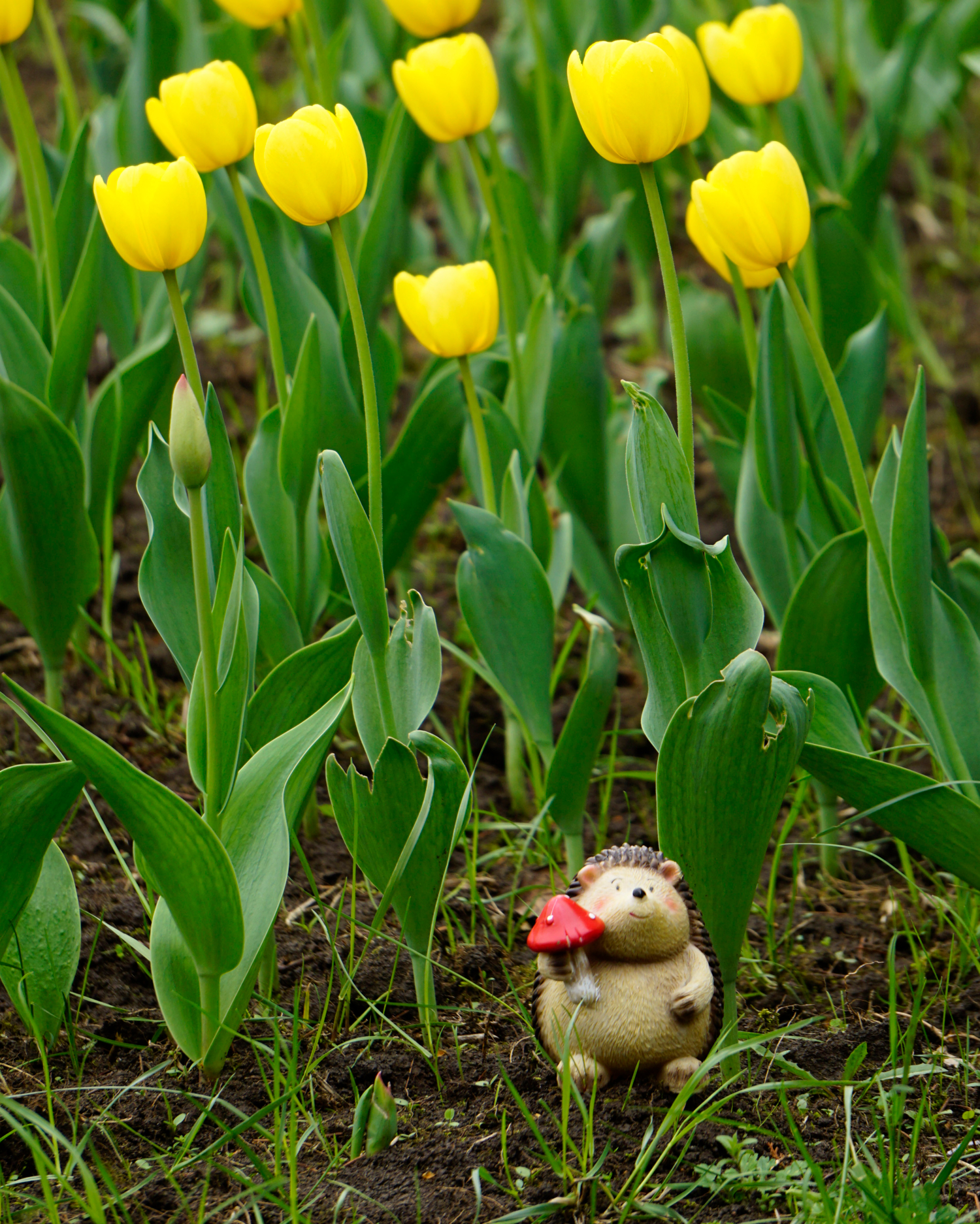 «Псих», — подумал Ёжик,