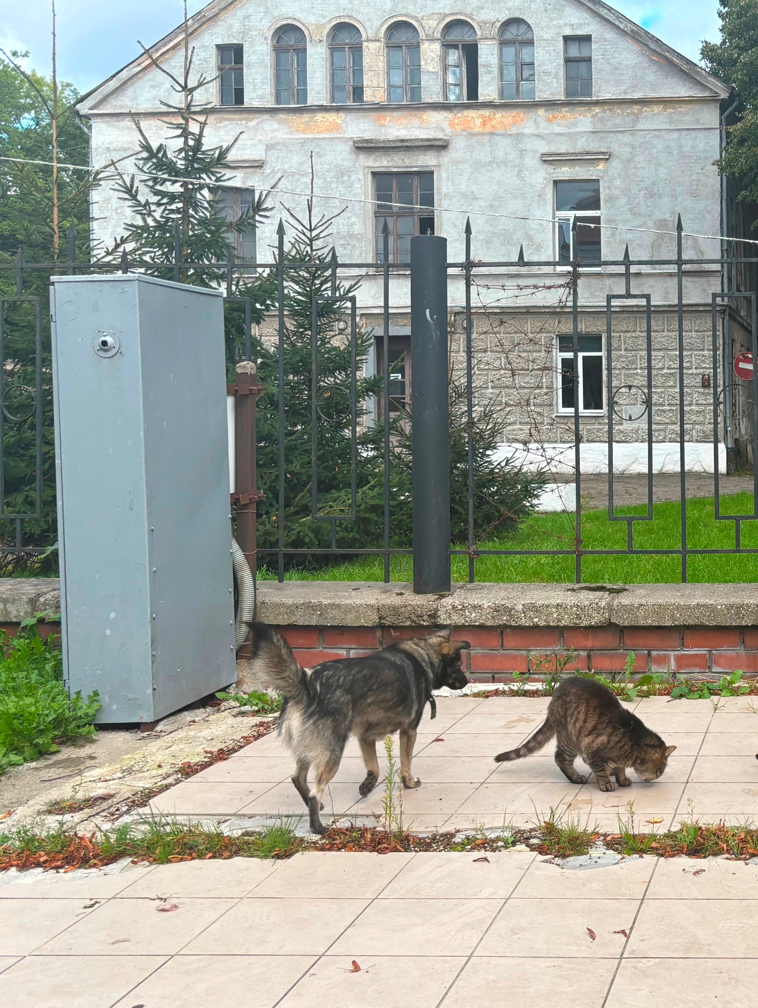 Городская кормушка