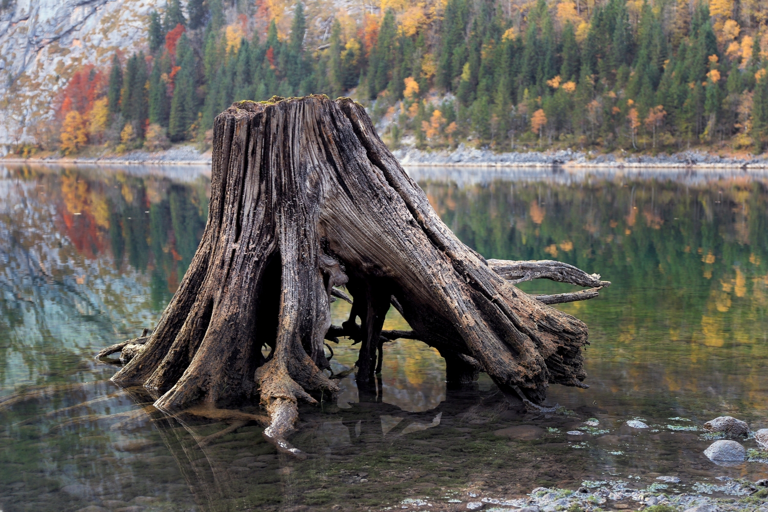 Старый, но гордый!