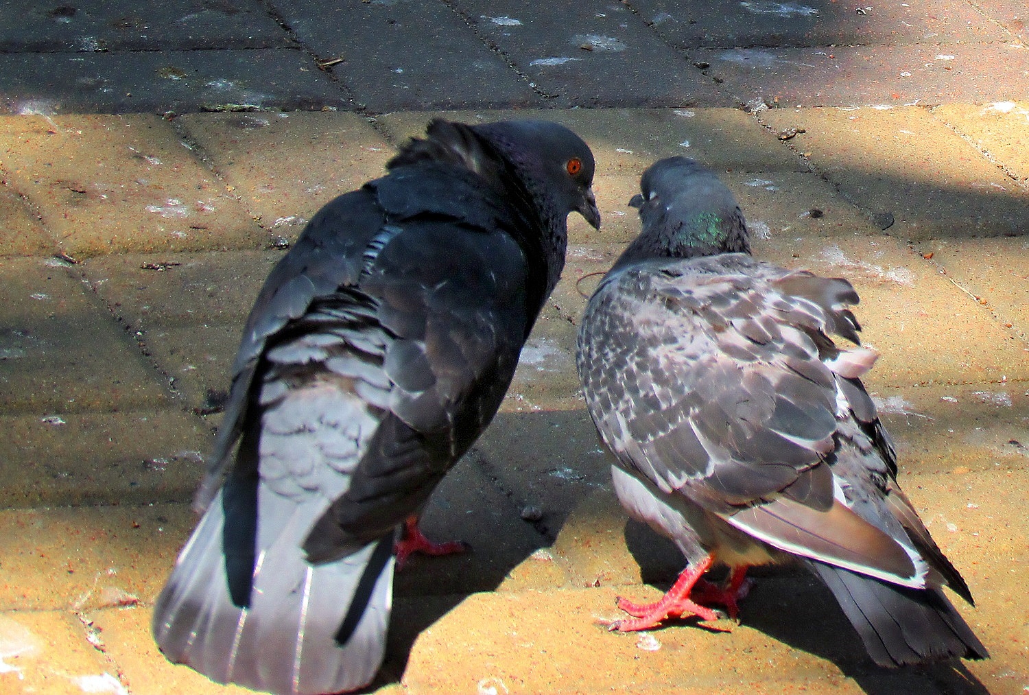 Поговорим...