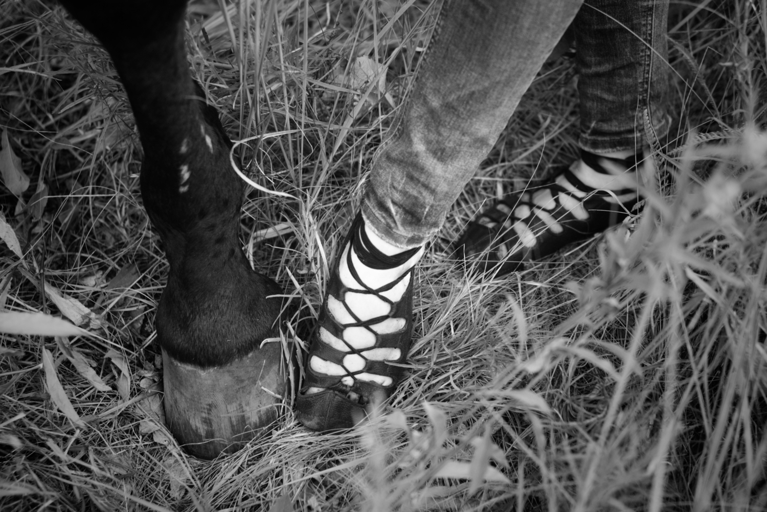 ghillies в поле