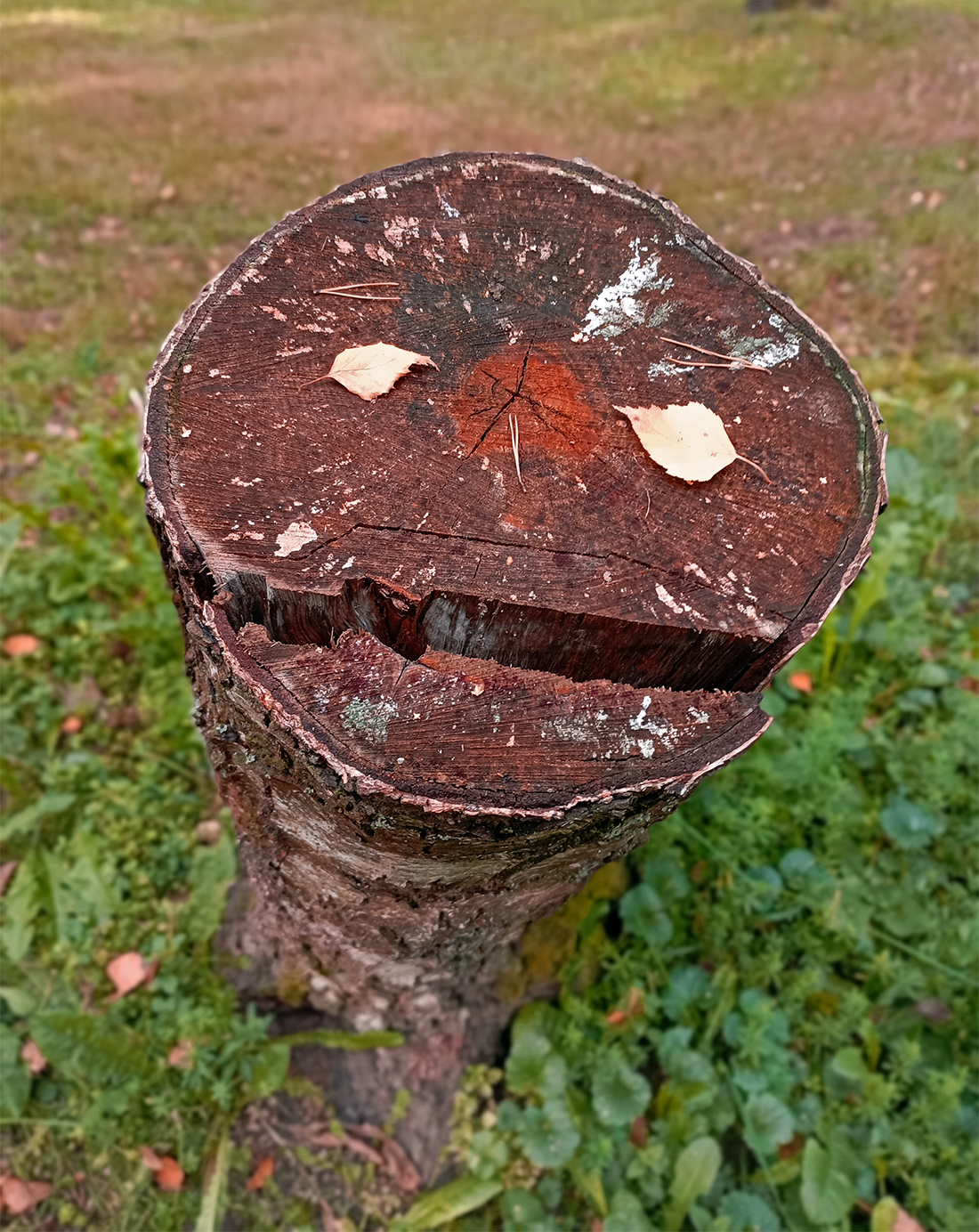 Улыбайтесь!!! Вас снимают!!!