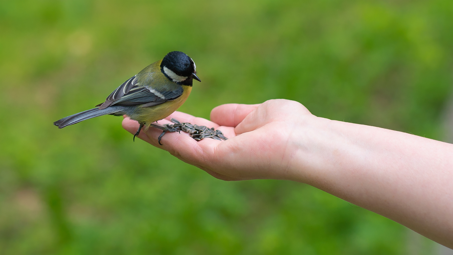 А очищенных нет?