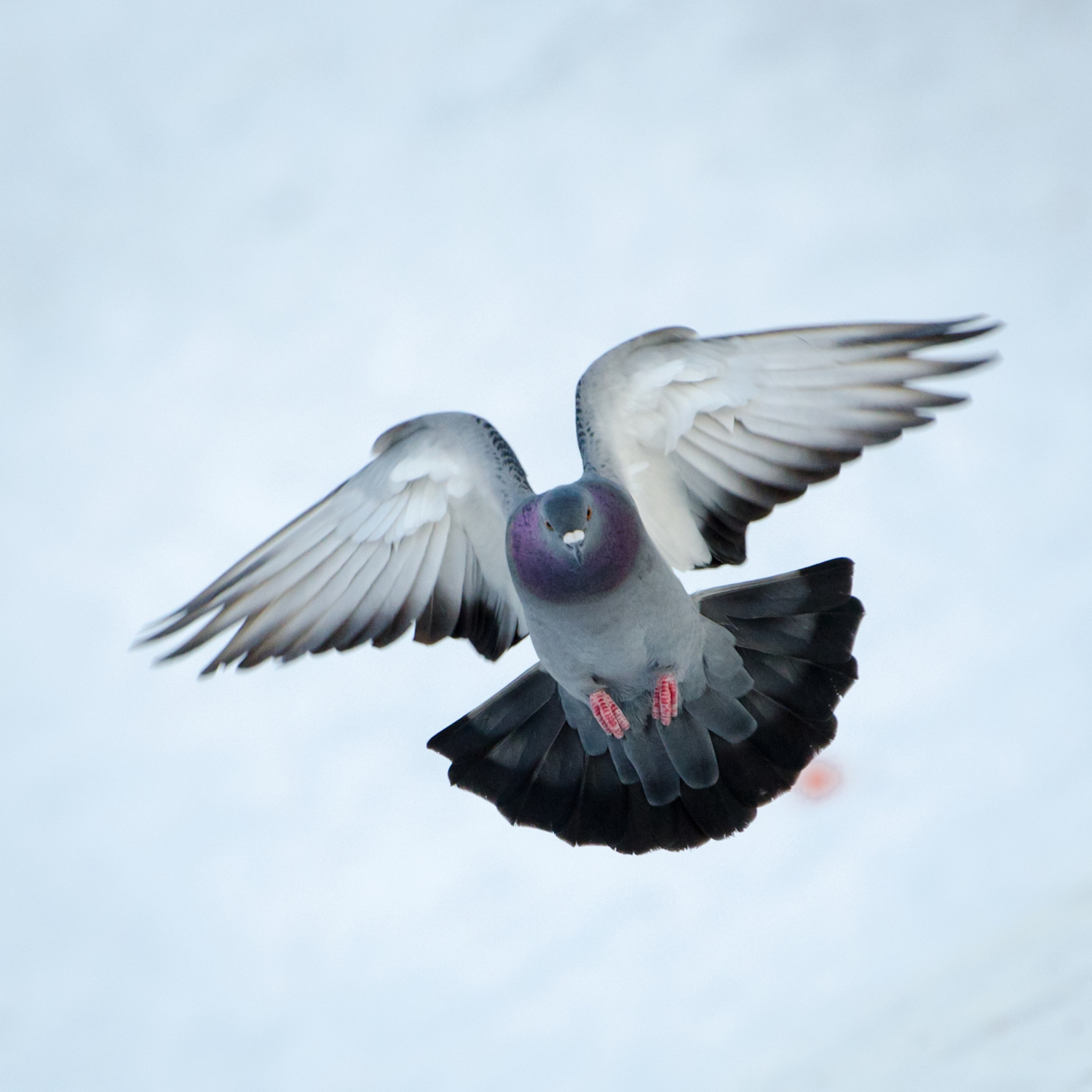 Иду на посадку