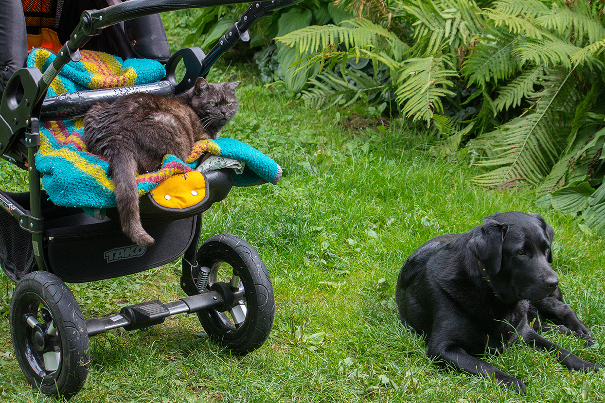 Охраняя сон младенца