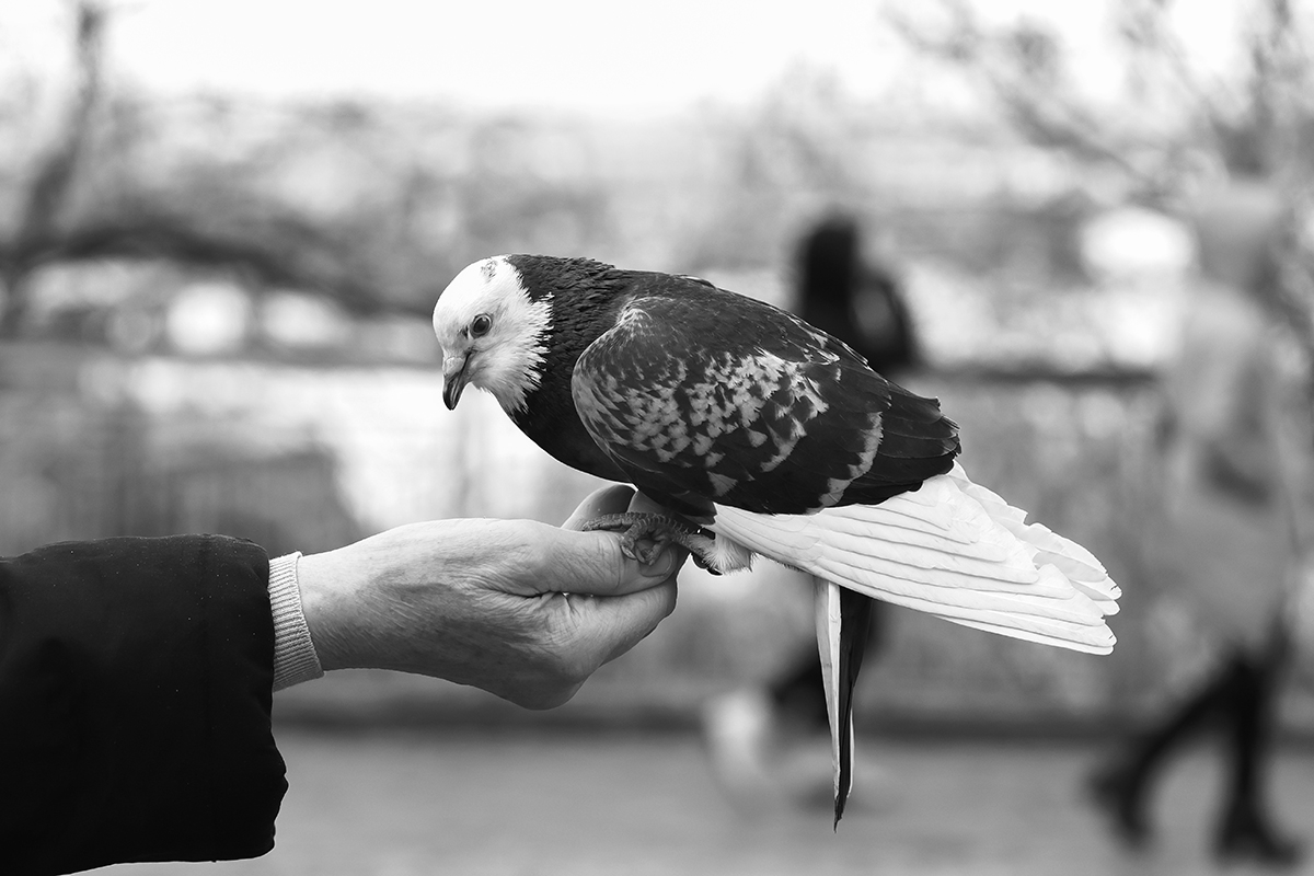 Они нашли друг друга