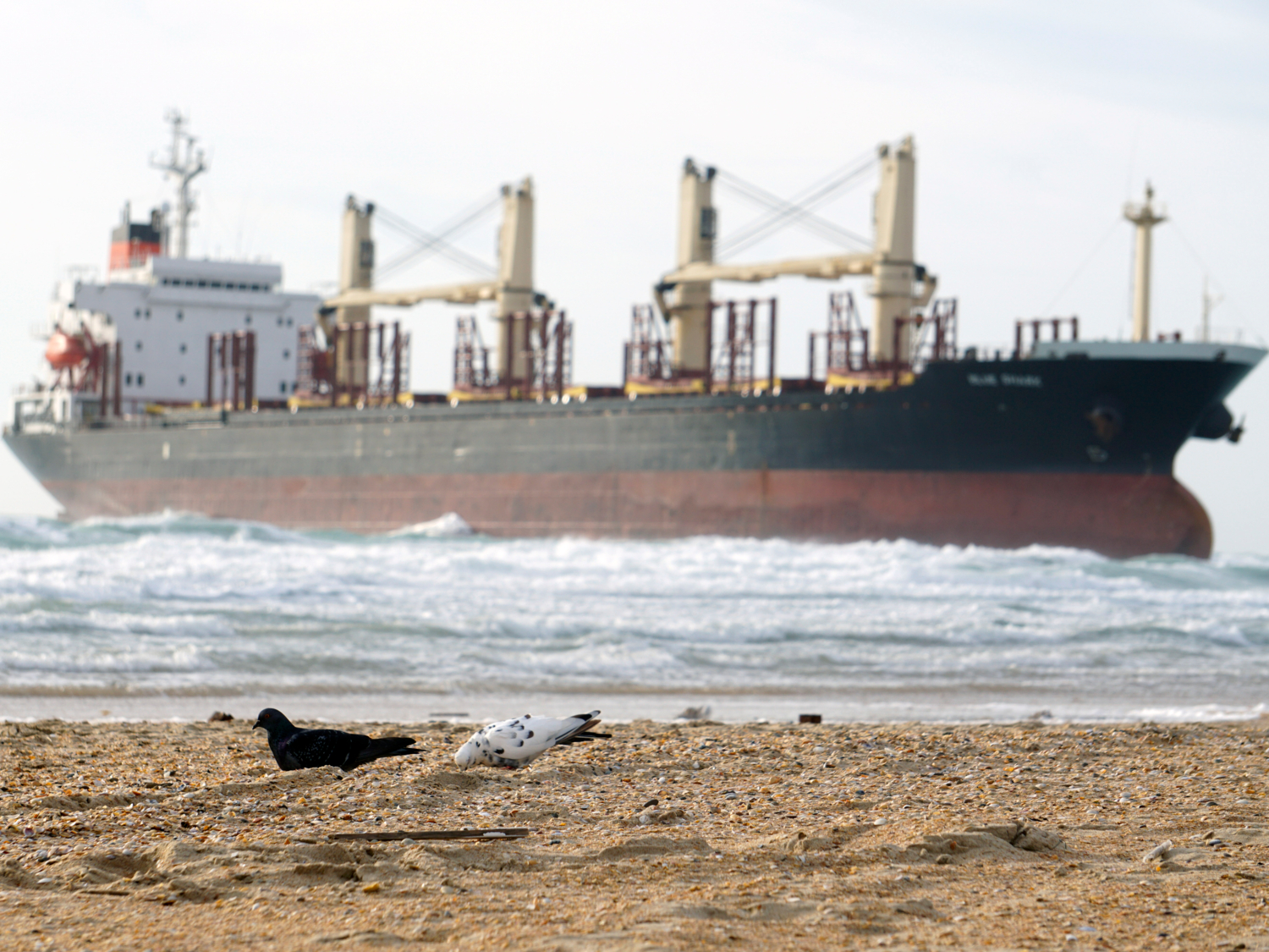 Пляжная история