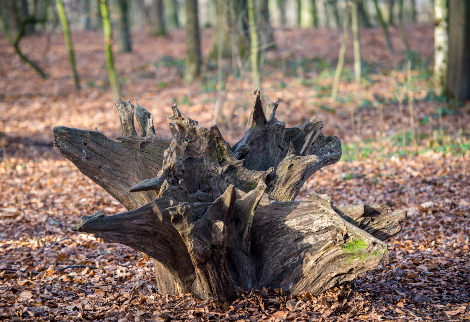 Кверх ногами