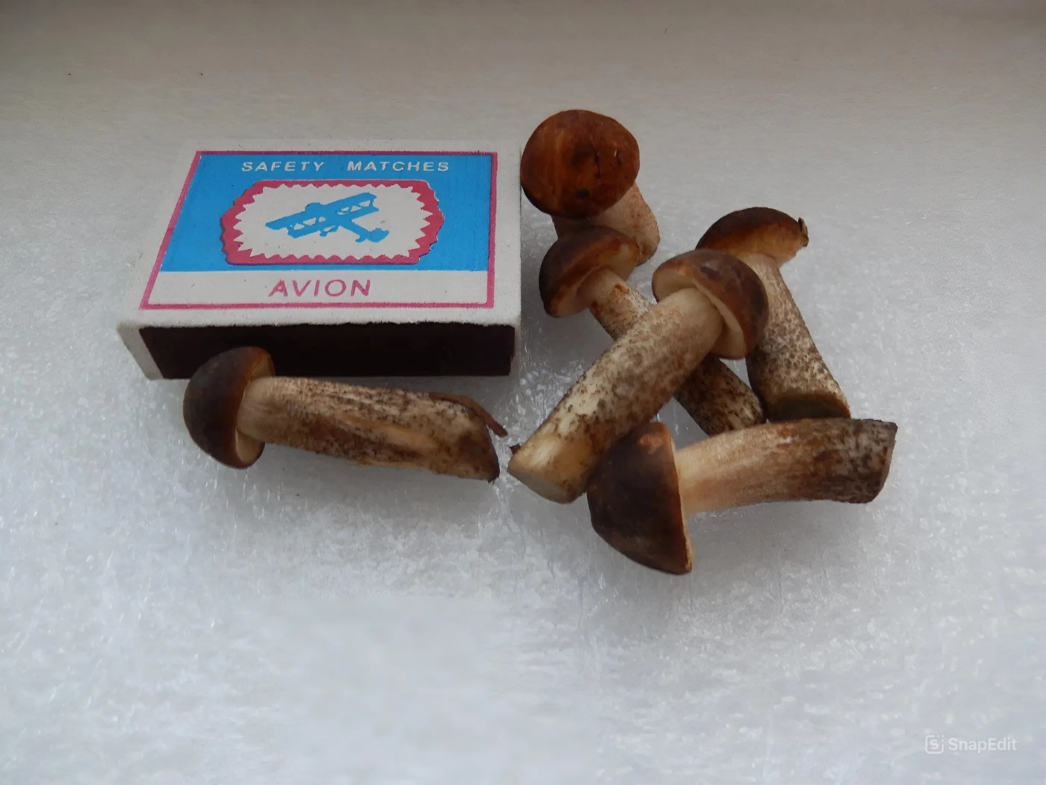 Подберёзовики.