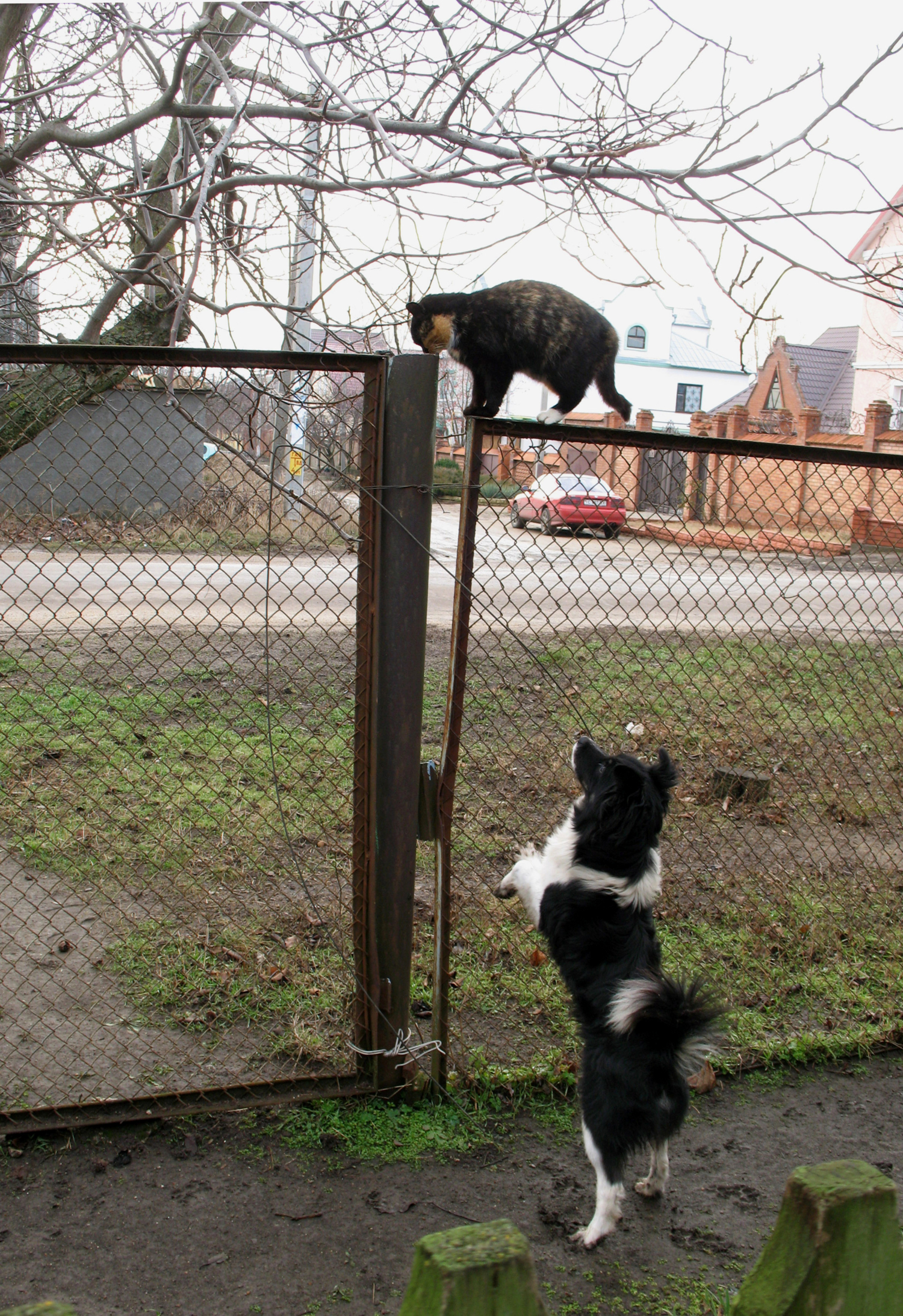 Не достанешь...