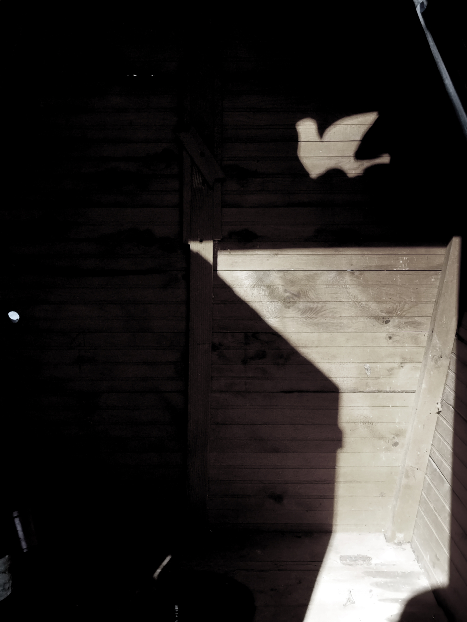 симптомы разумного воспроизведения