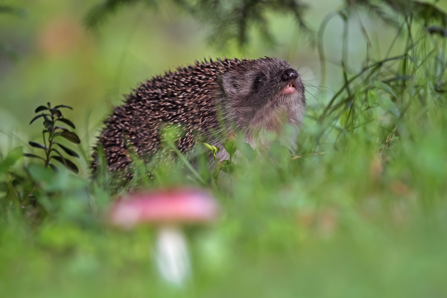 Не померещилось