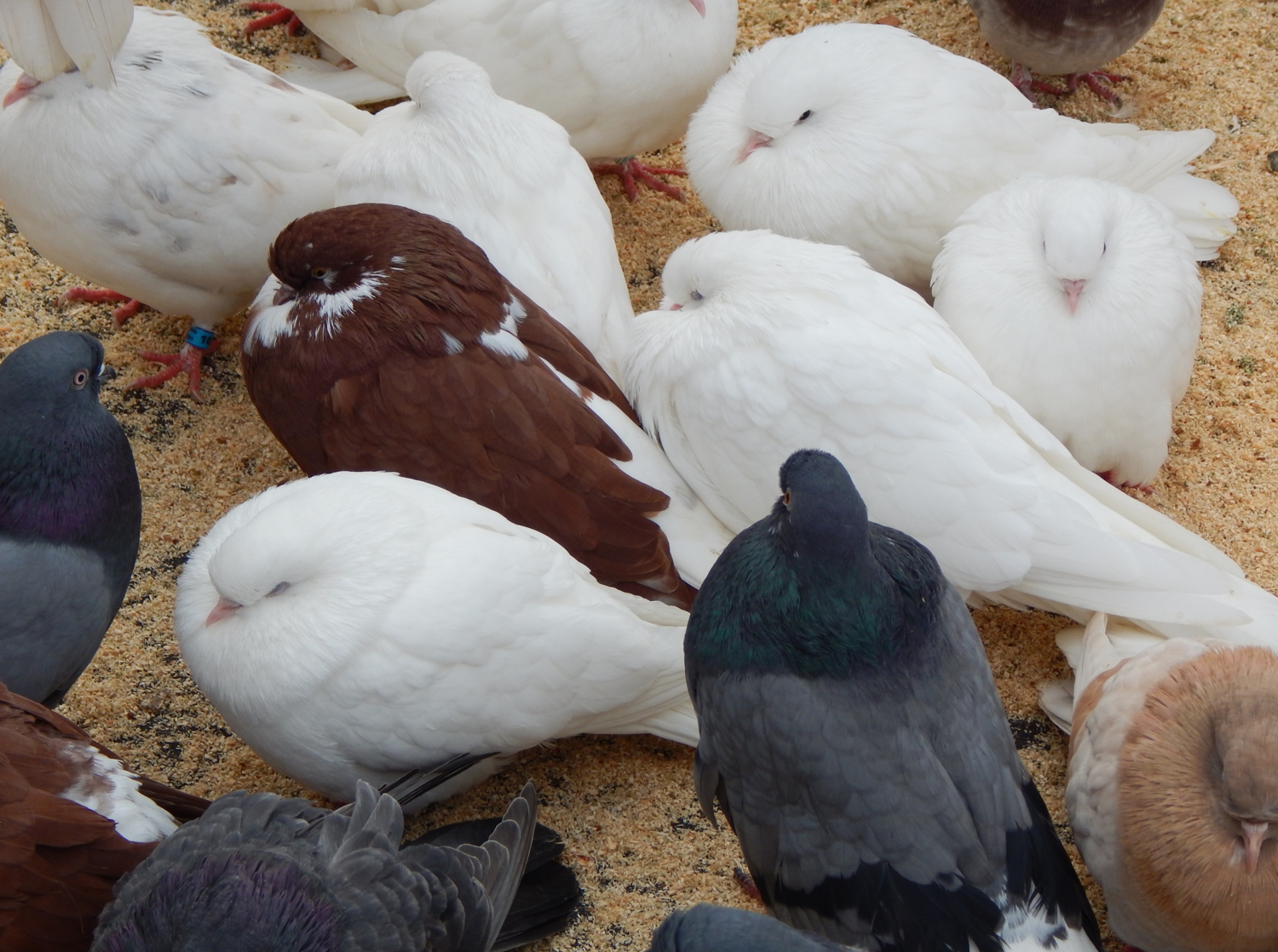 Видимо-невидимо