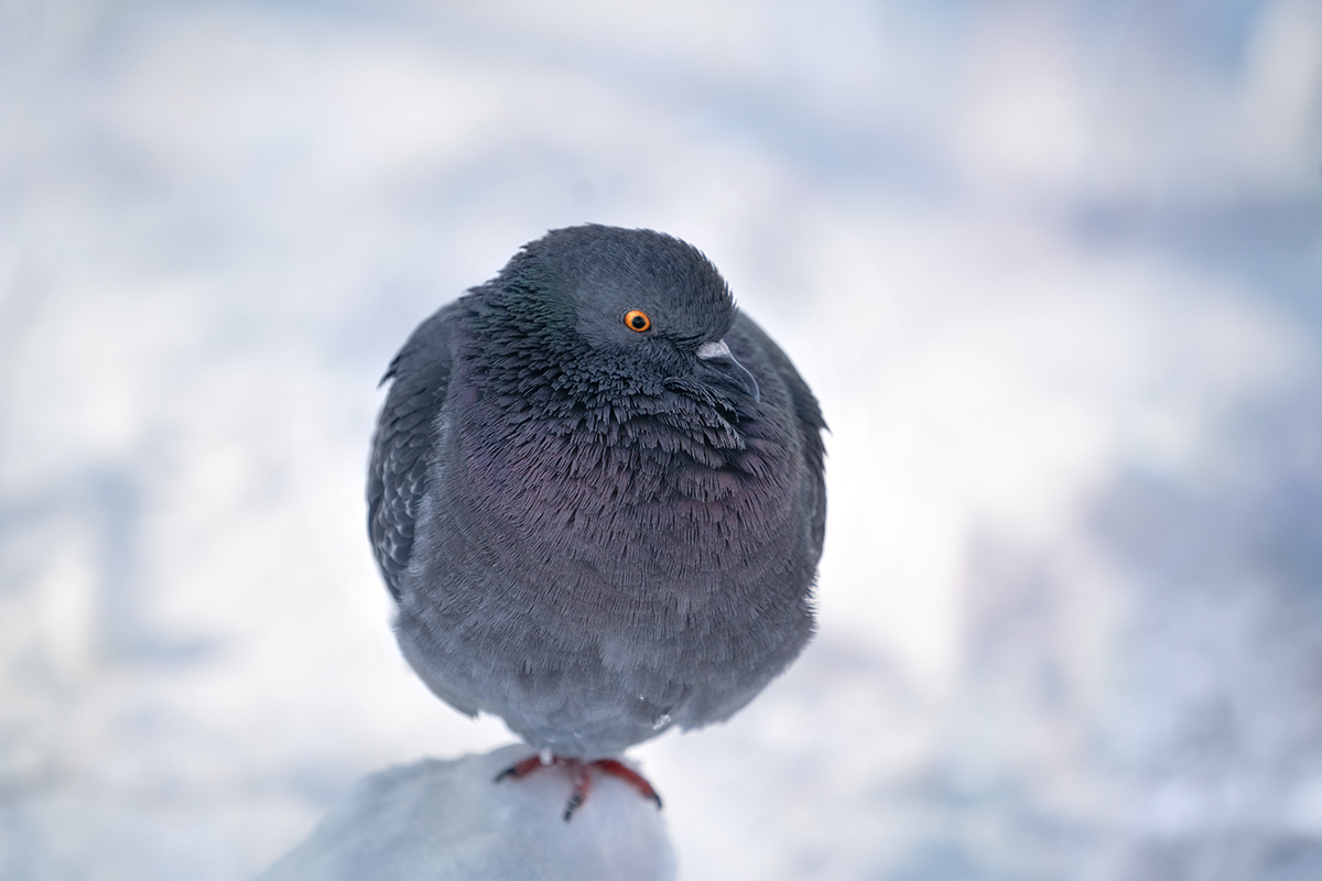 В одиночестве