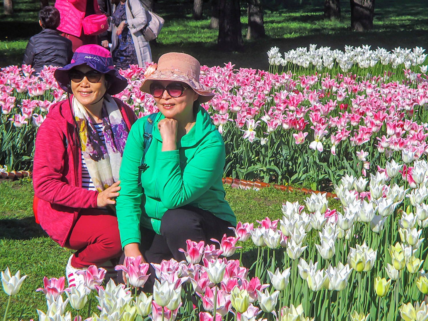 В цветнике...