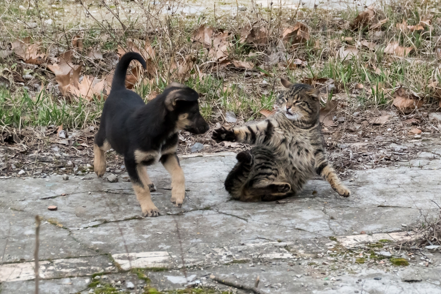 "Радушный" прием