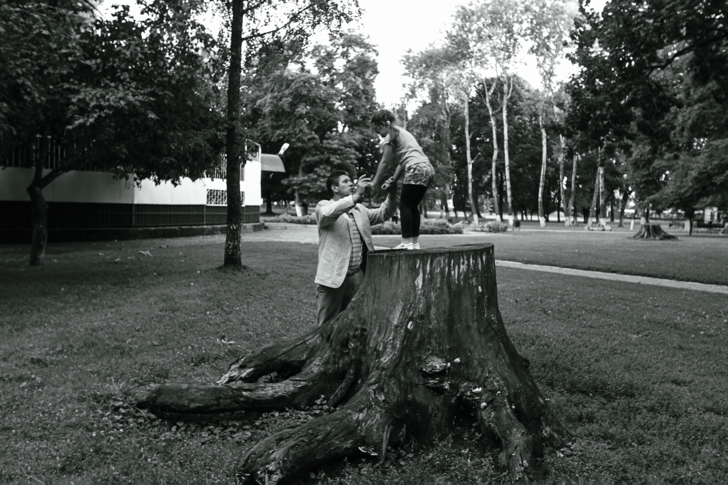 Когда деревья были большими...