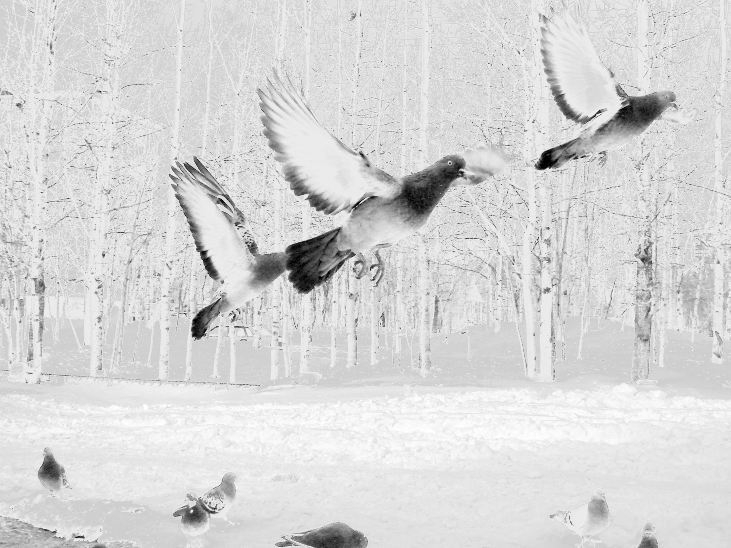 Приснилось