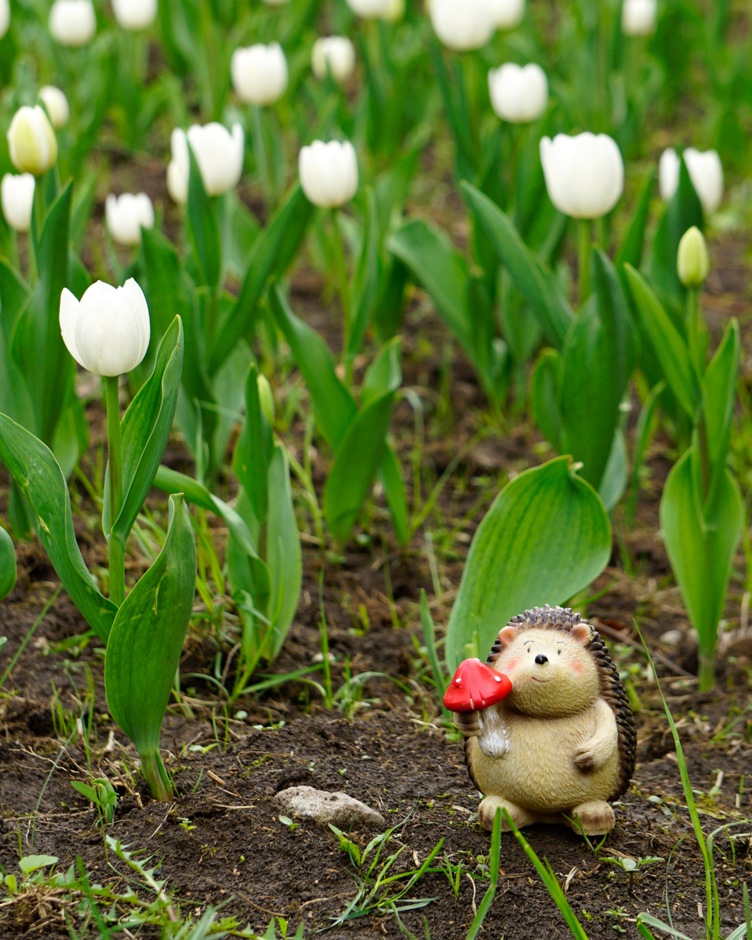 Ежик, я тебя искал!