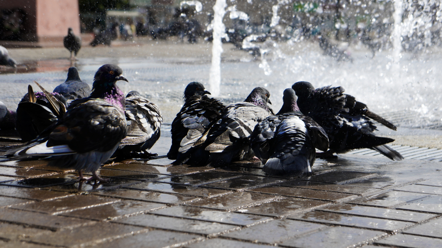 Умываемся пока воду дали.