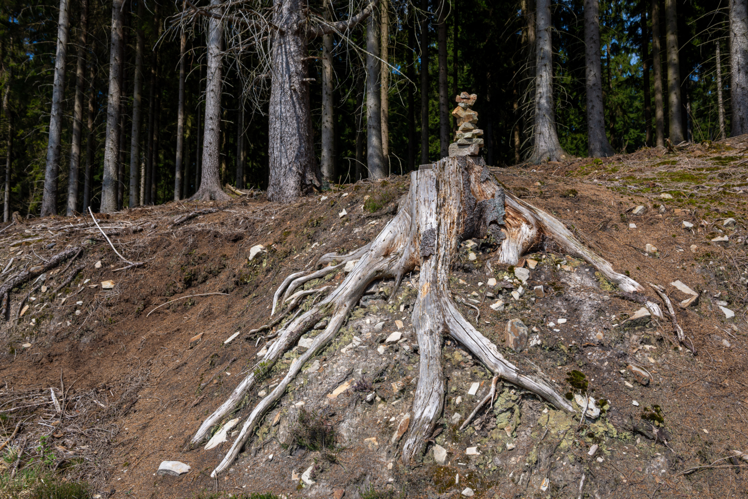 может и я на что сгожусь