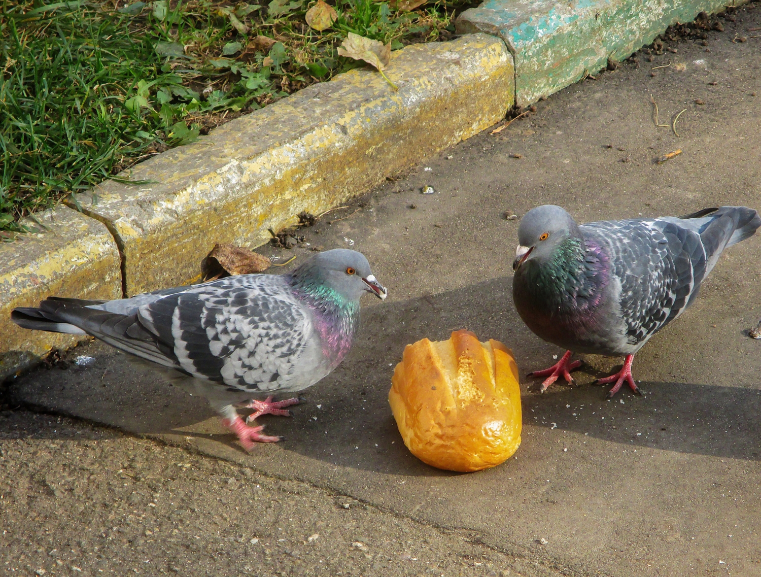 Манна небесная...