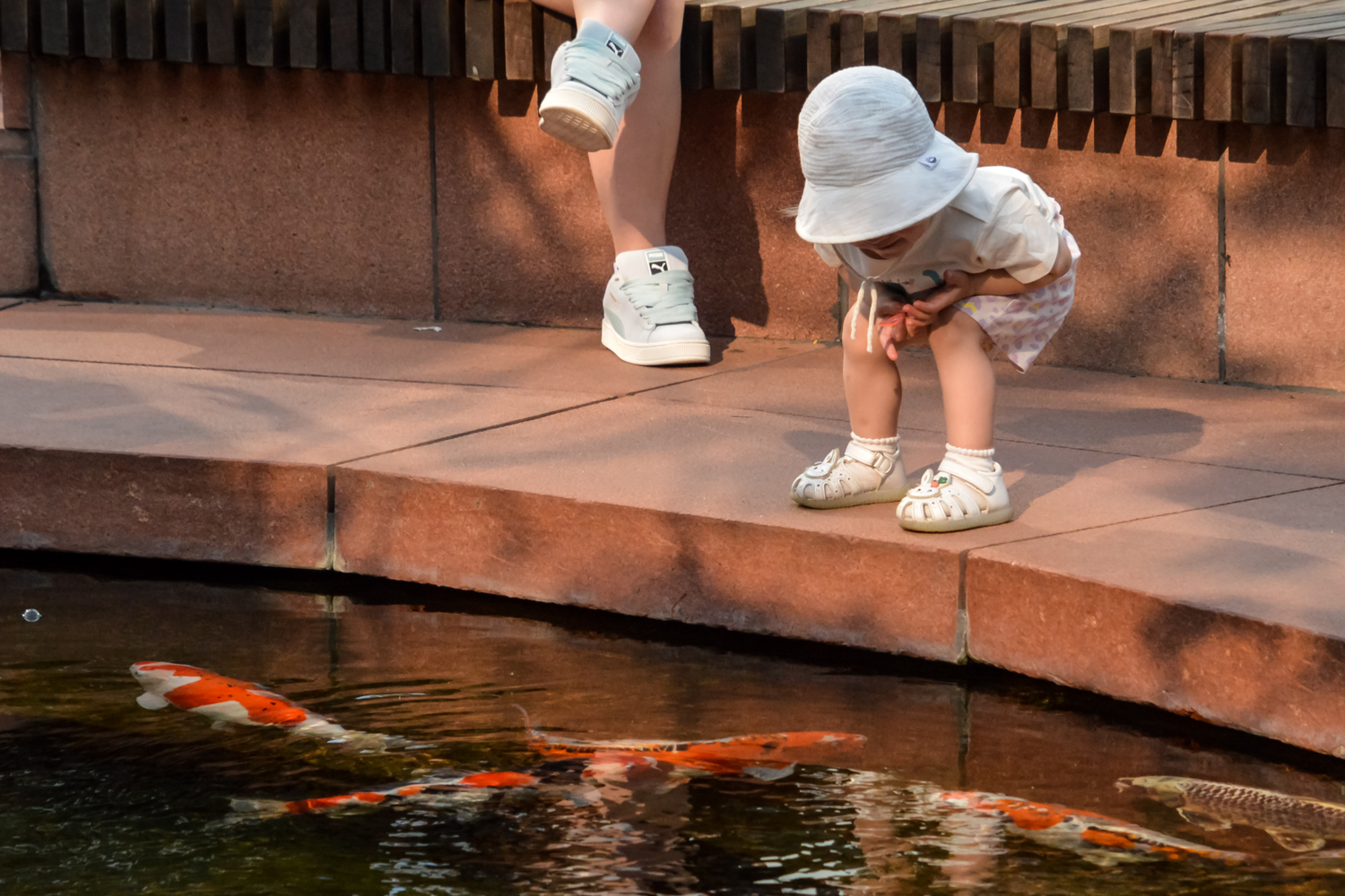 Любопытство