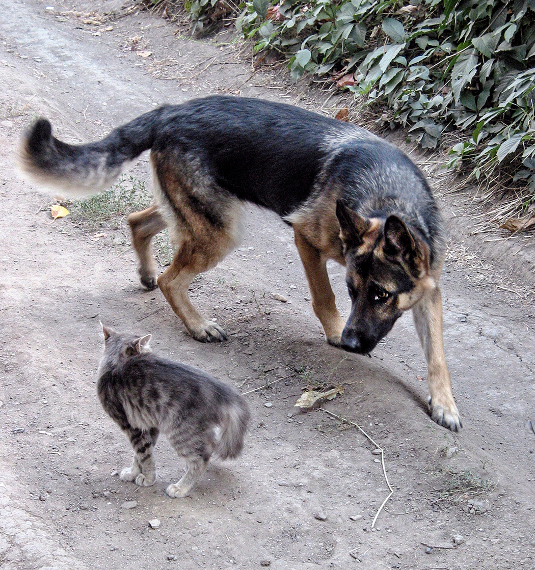 поиск компромисса