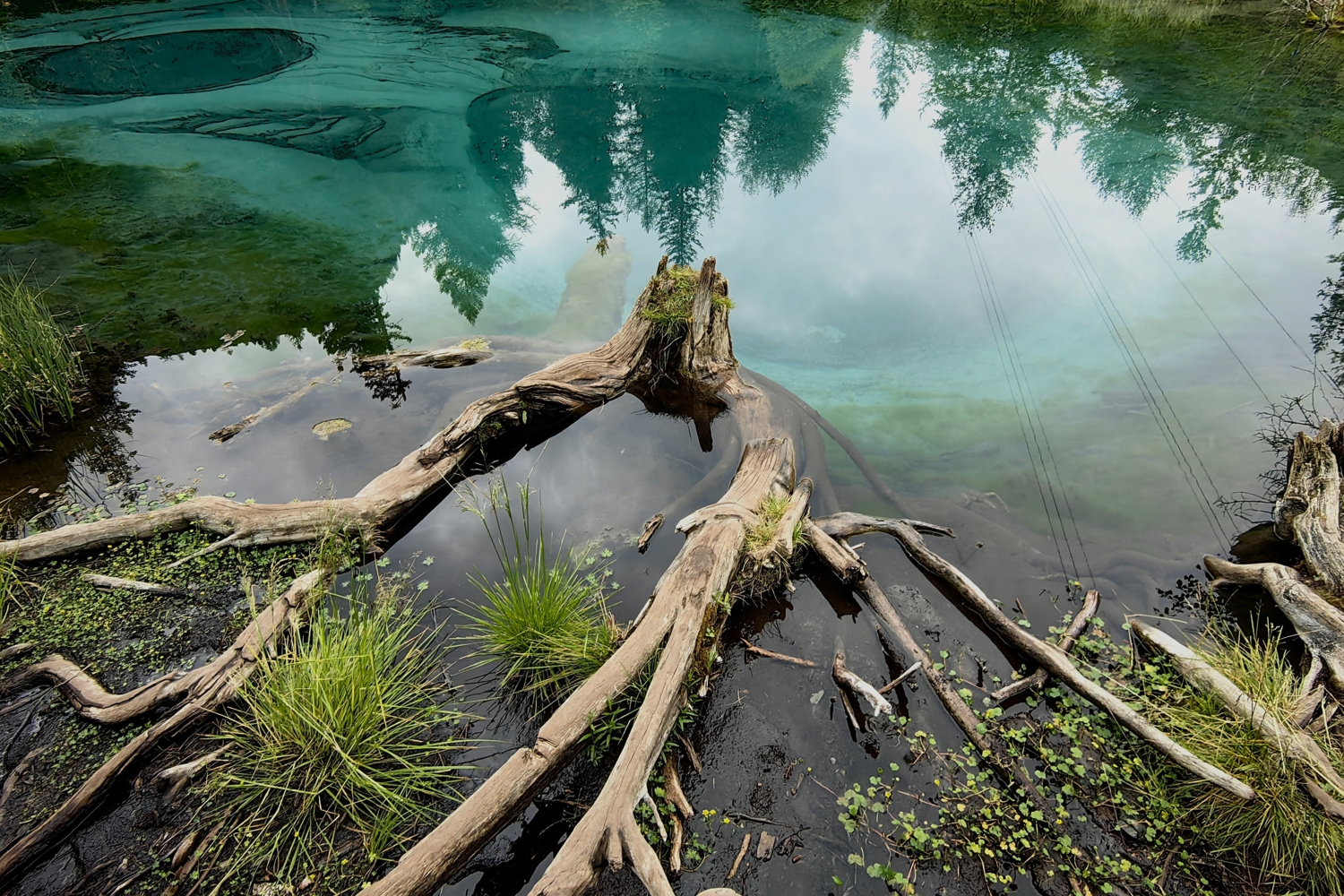 Пень в озере Мёны