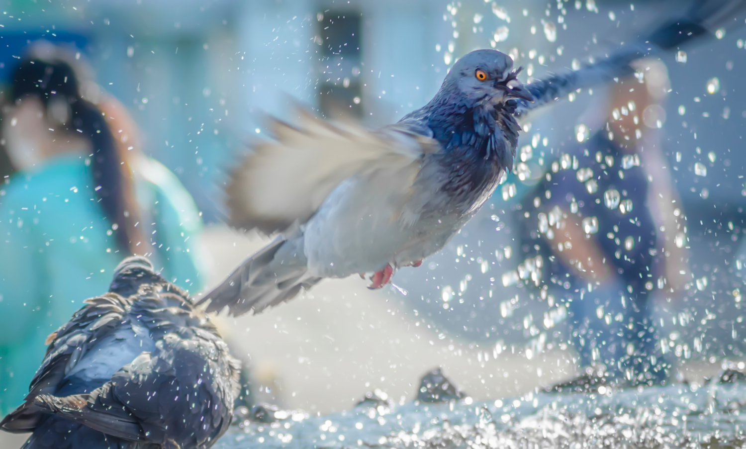 Даёшь приводнение!