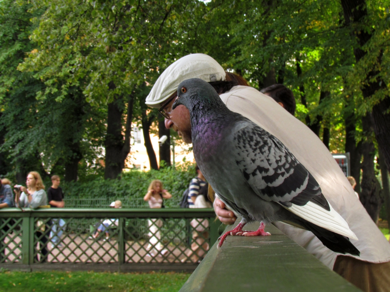 Два профиля