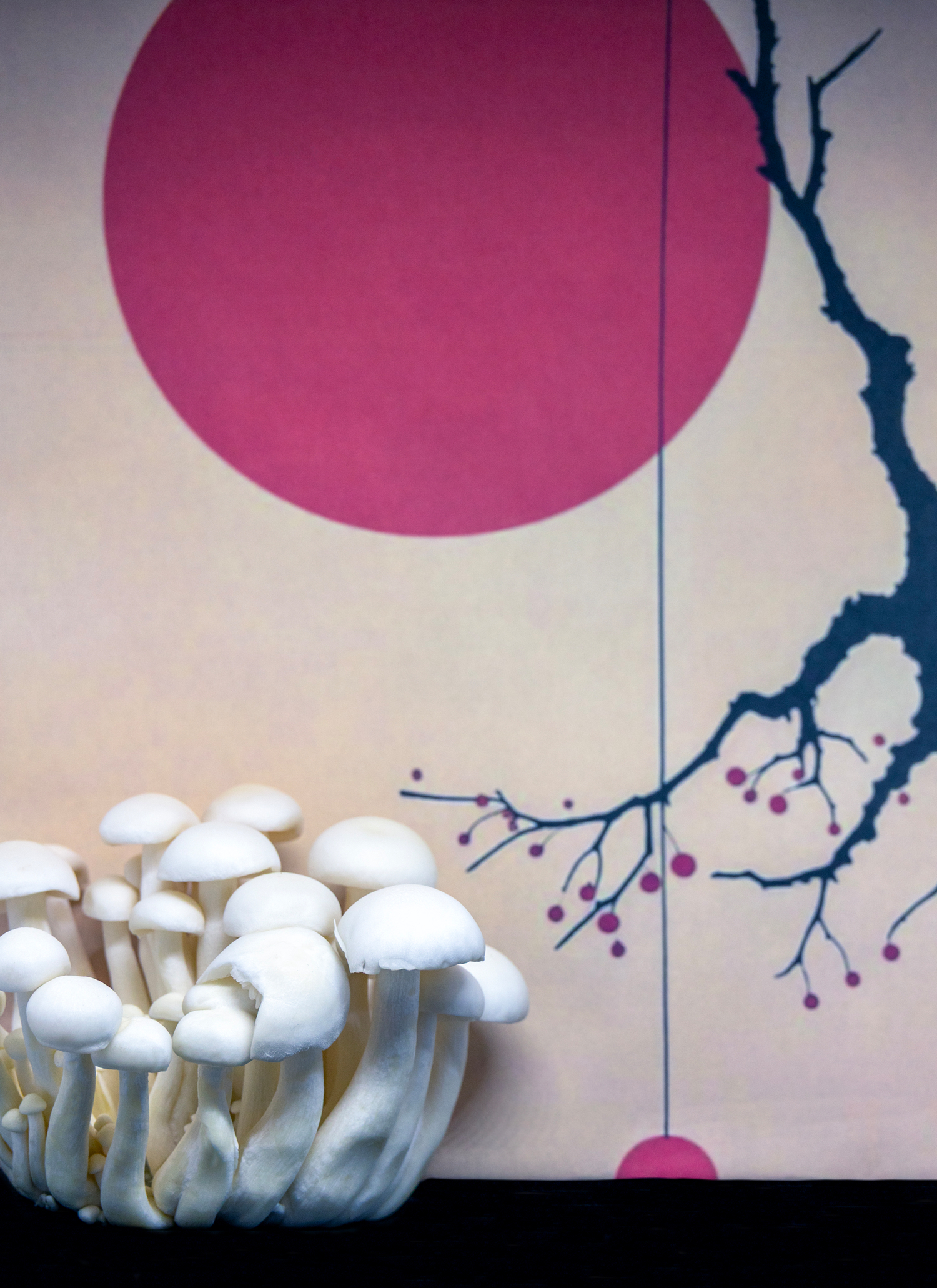 Японские напевы