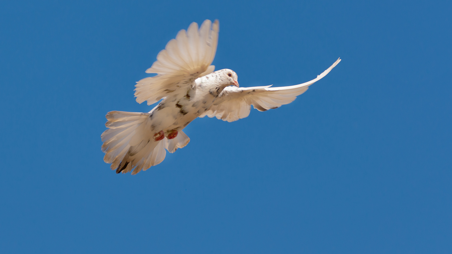 Мне с верху видно всё, ты так и знай.