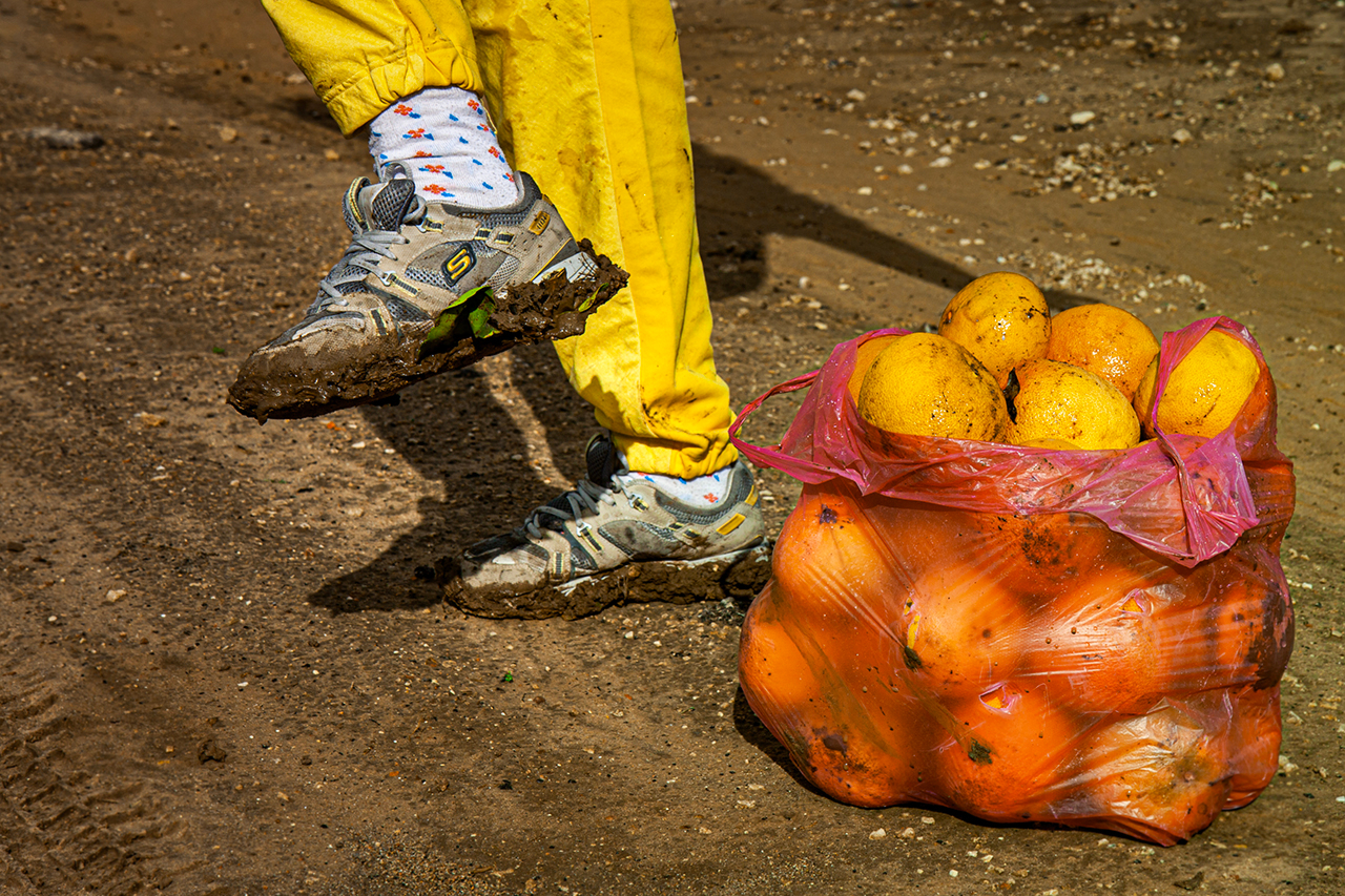 Aпельсины воровать - это Вам не картошку окучивать