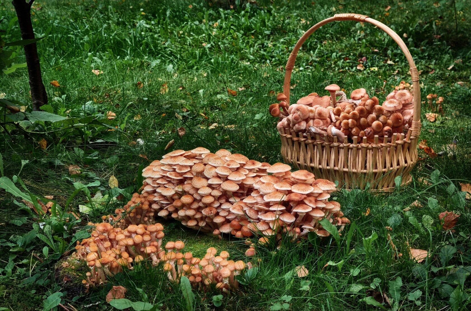 Не помещаются