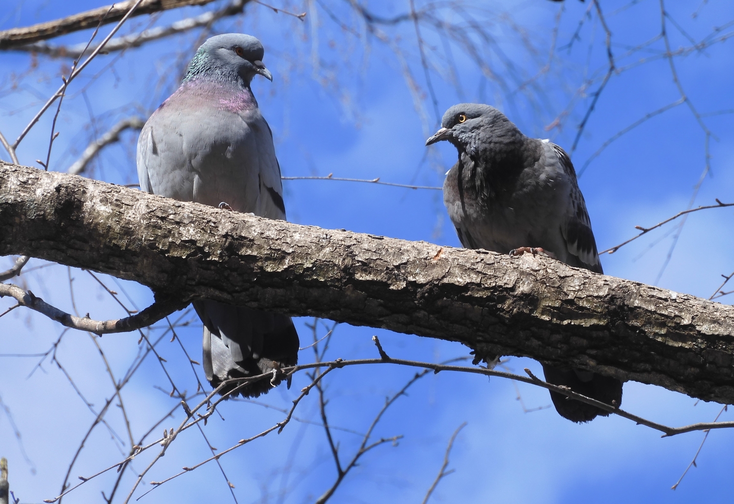 ,,Ну, Василий, мягкого тебе полета!..."