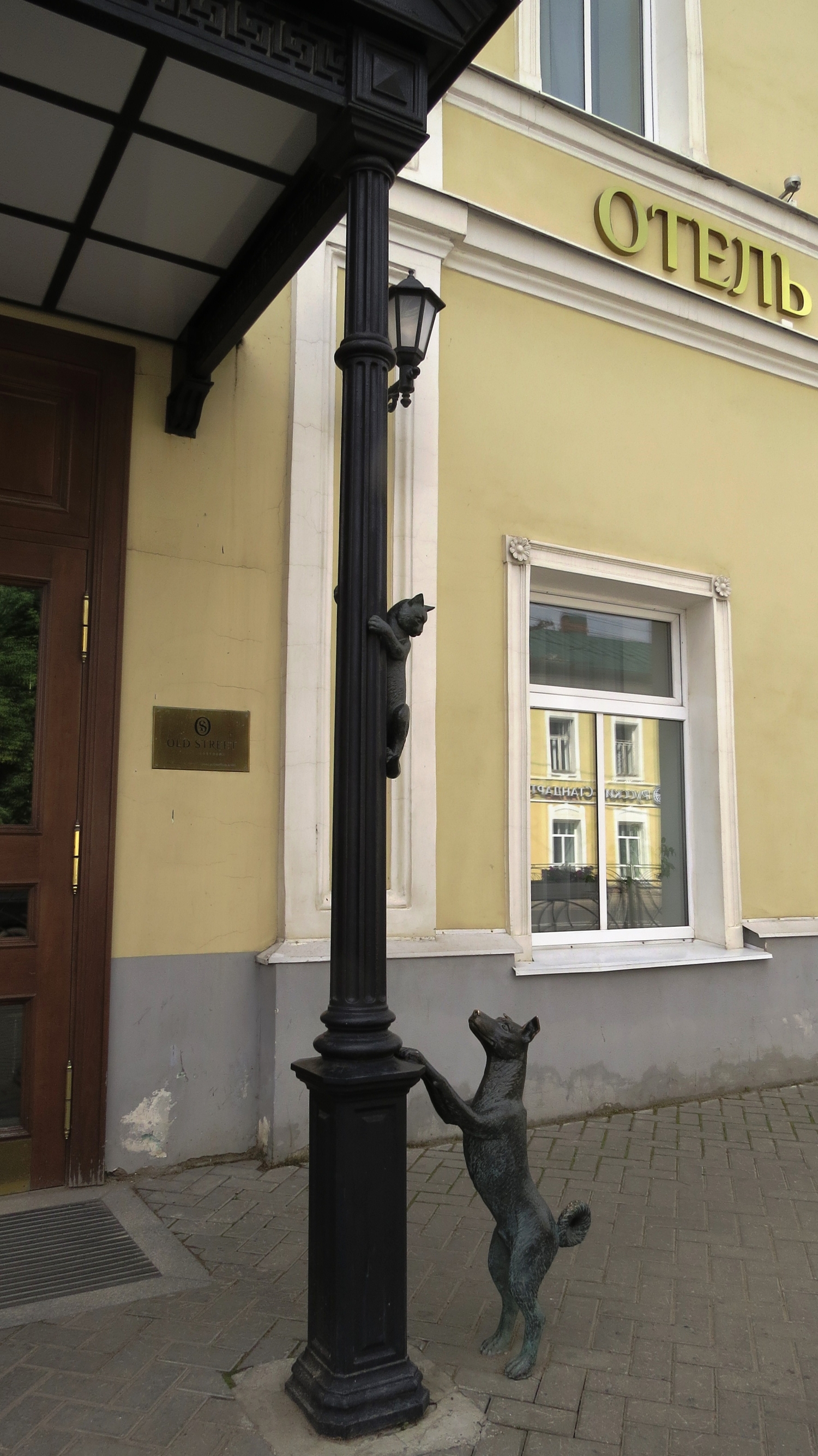 Кошка с собакой