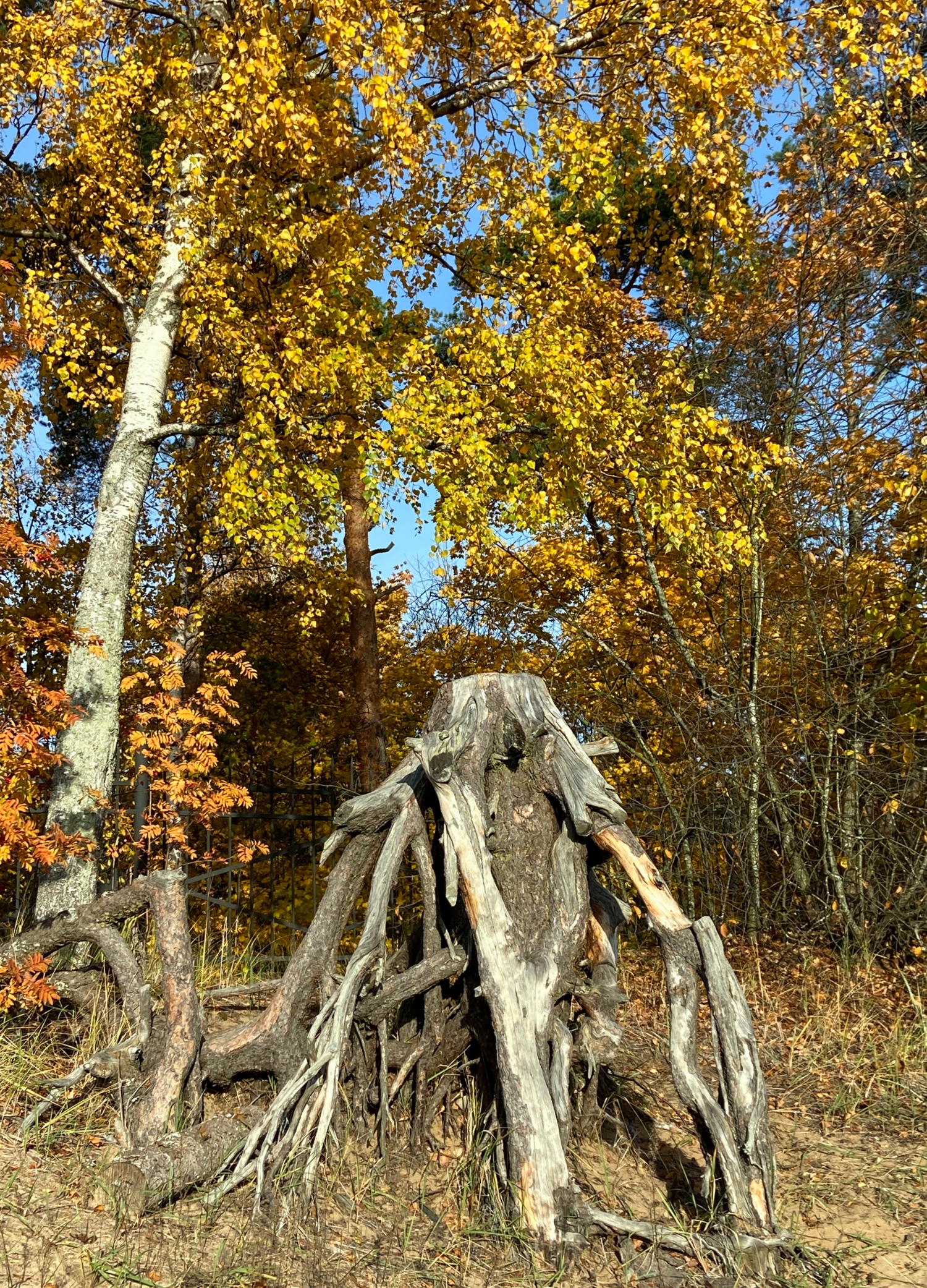 Главный герой