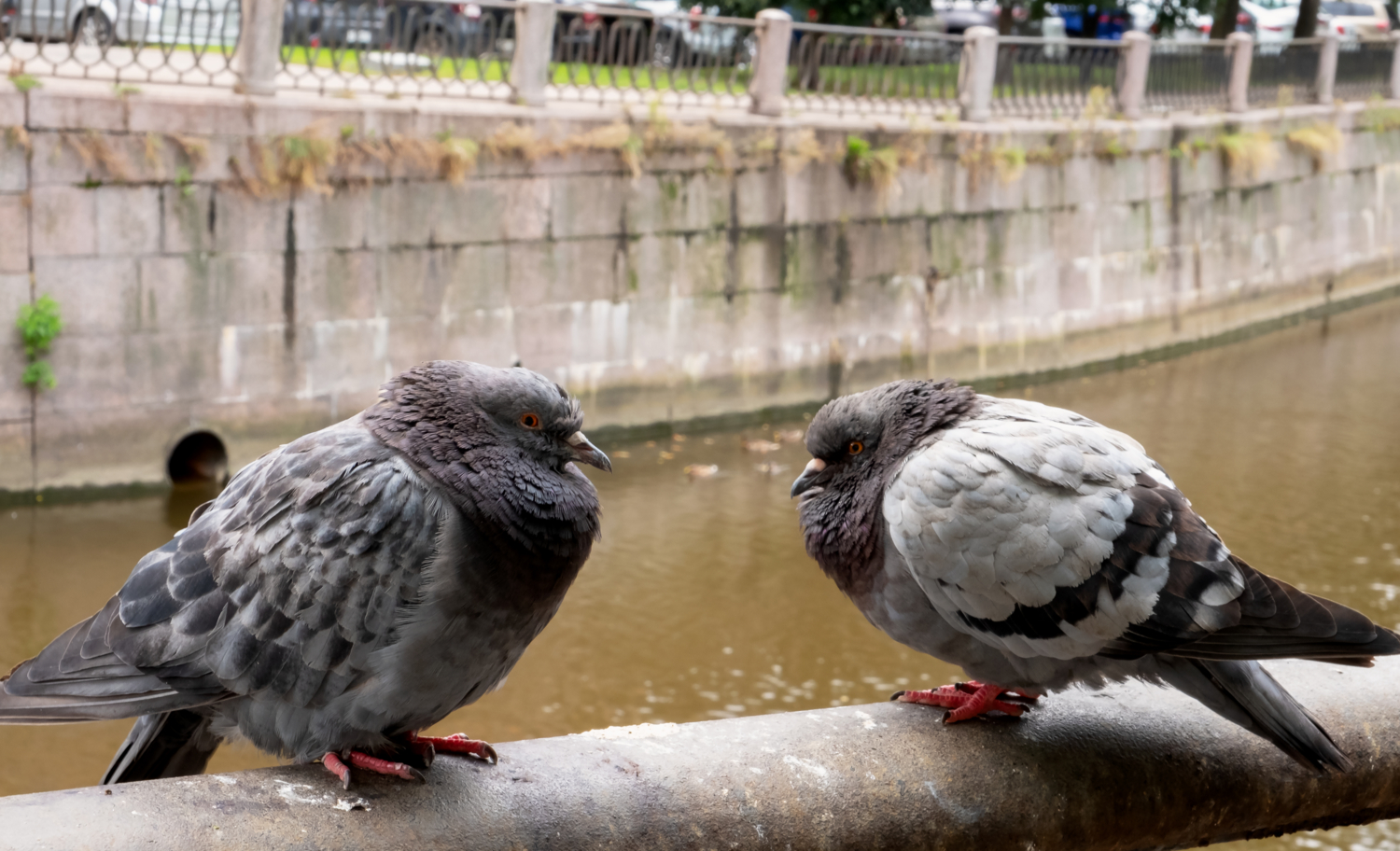 Ну и что теперь делать будем?