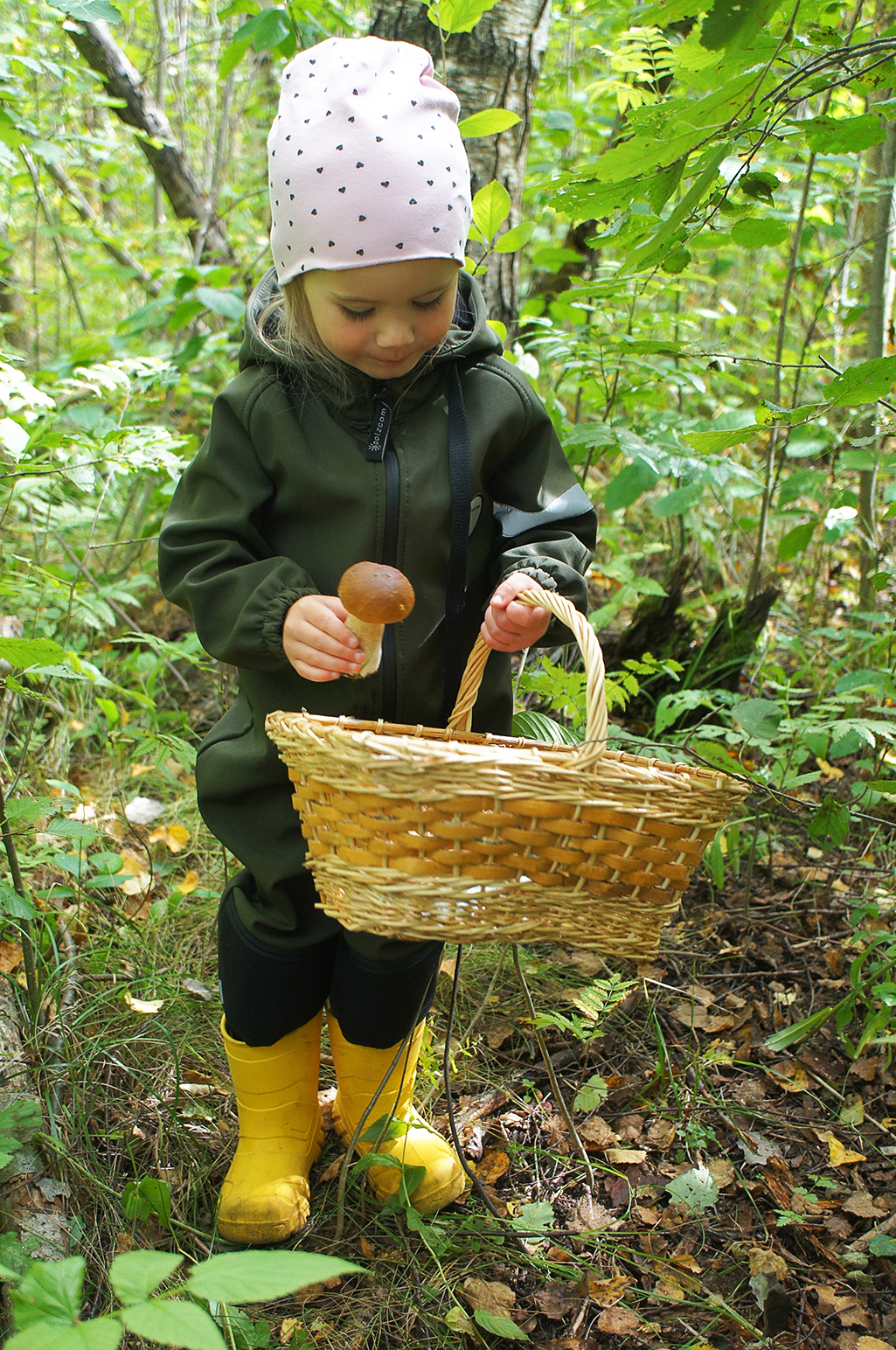 Первый белый гриб