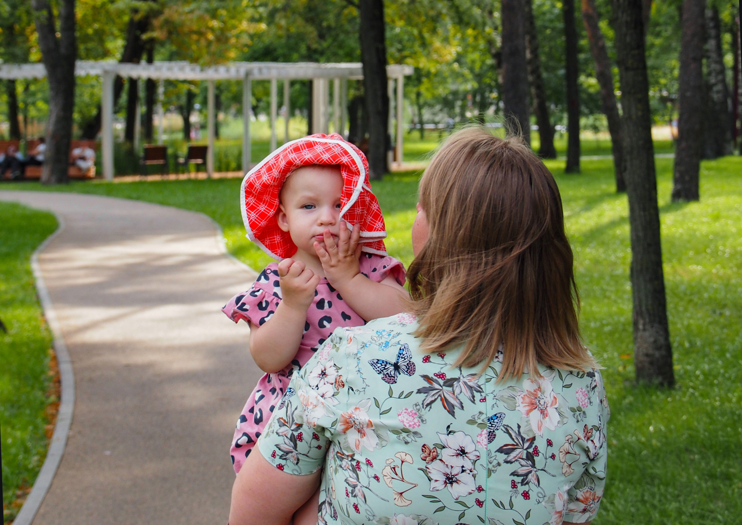 Несносная панама